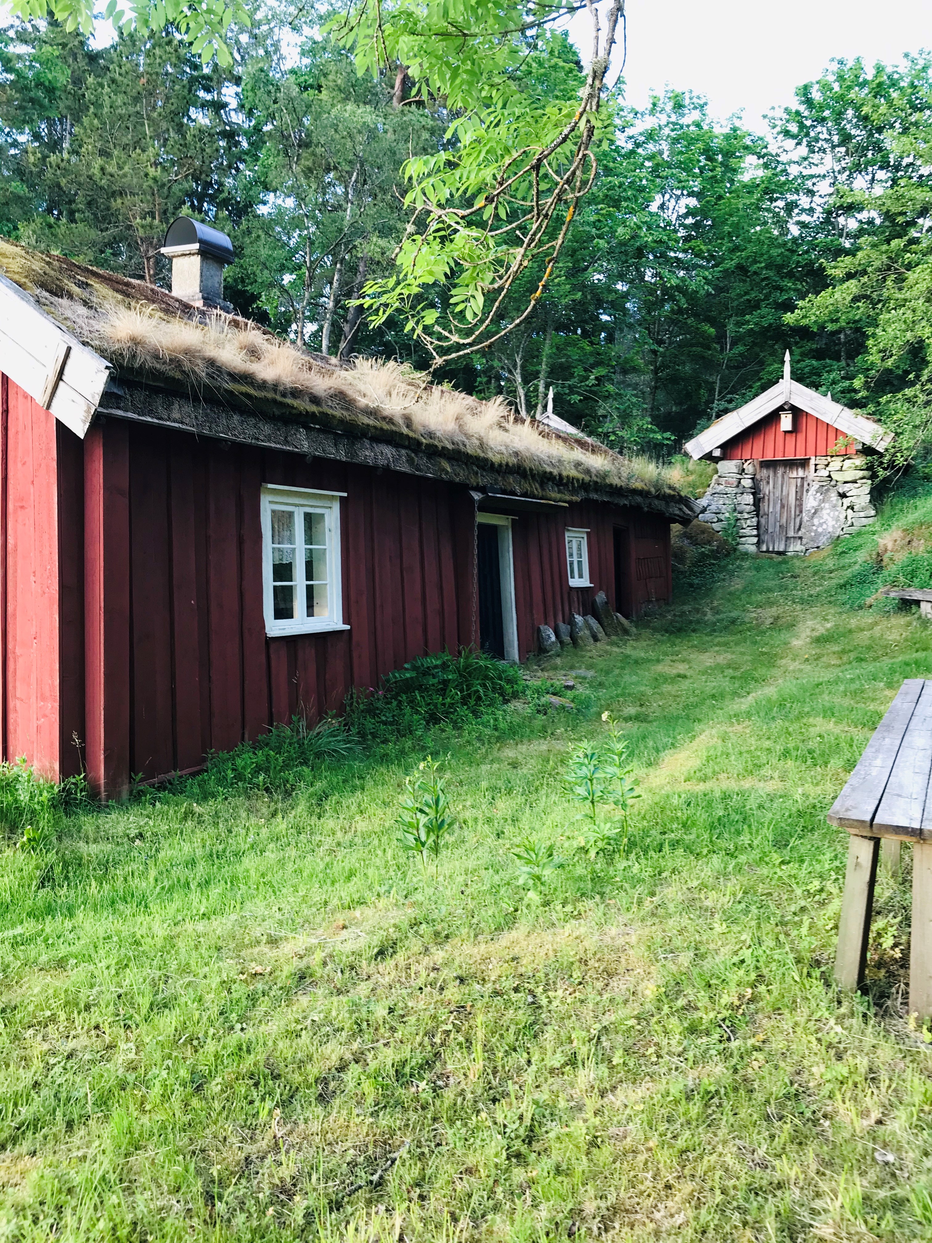 En röd stuga med gräs på taket