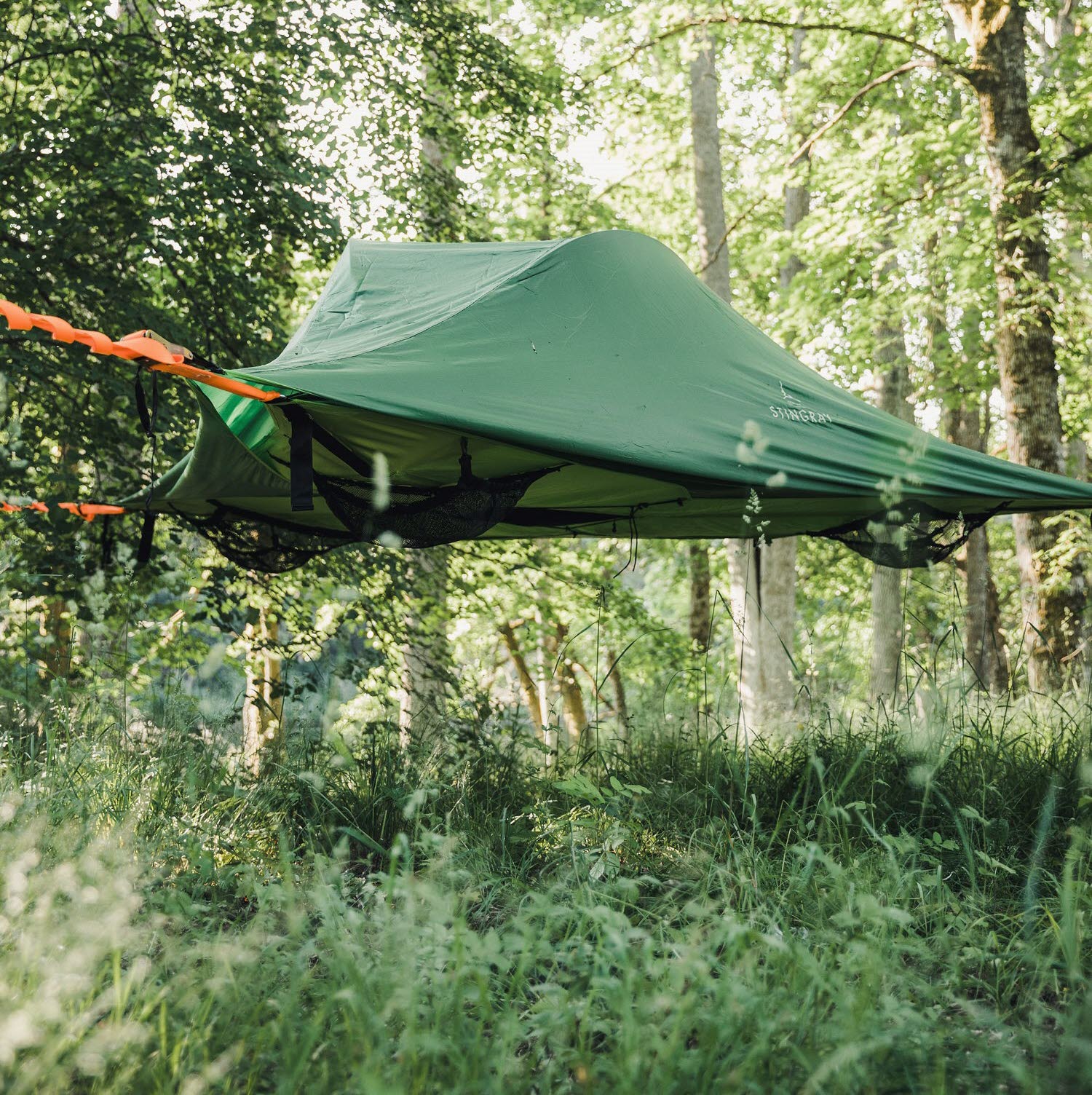 Ett grönt uppspänt tält i ett träd. Grönt runt omkring med träd och buskar. 