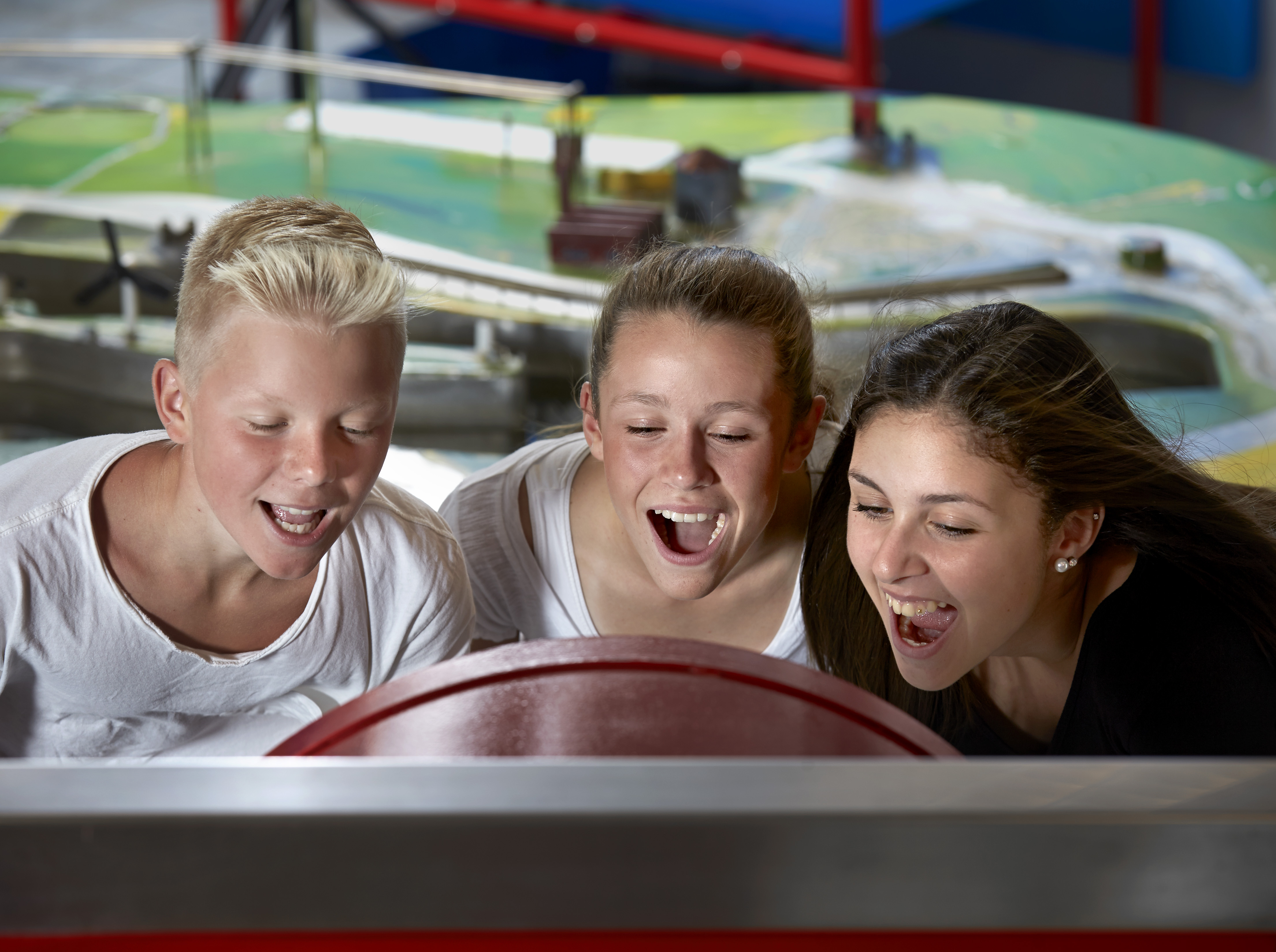 På Dalénium finns aktiviteter och upplevelser för stora och små!