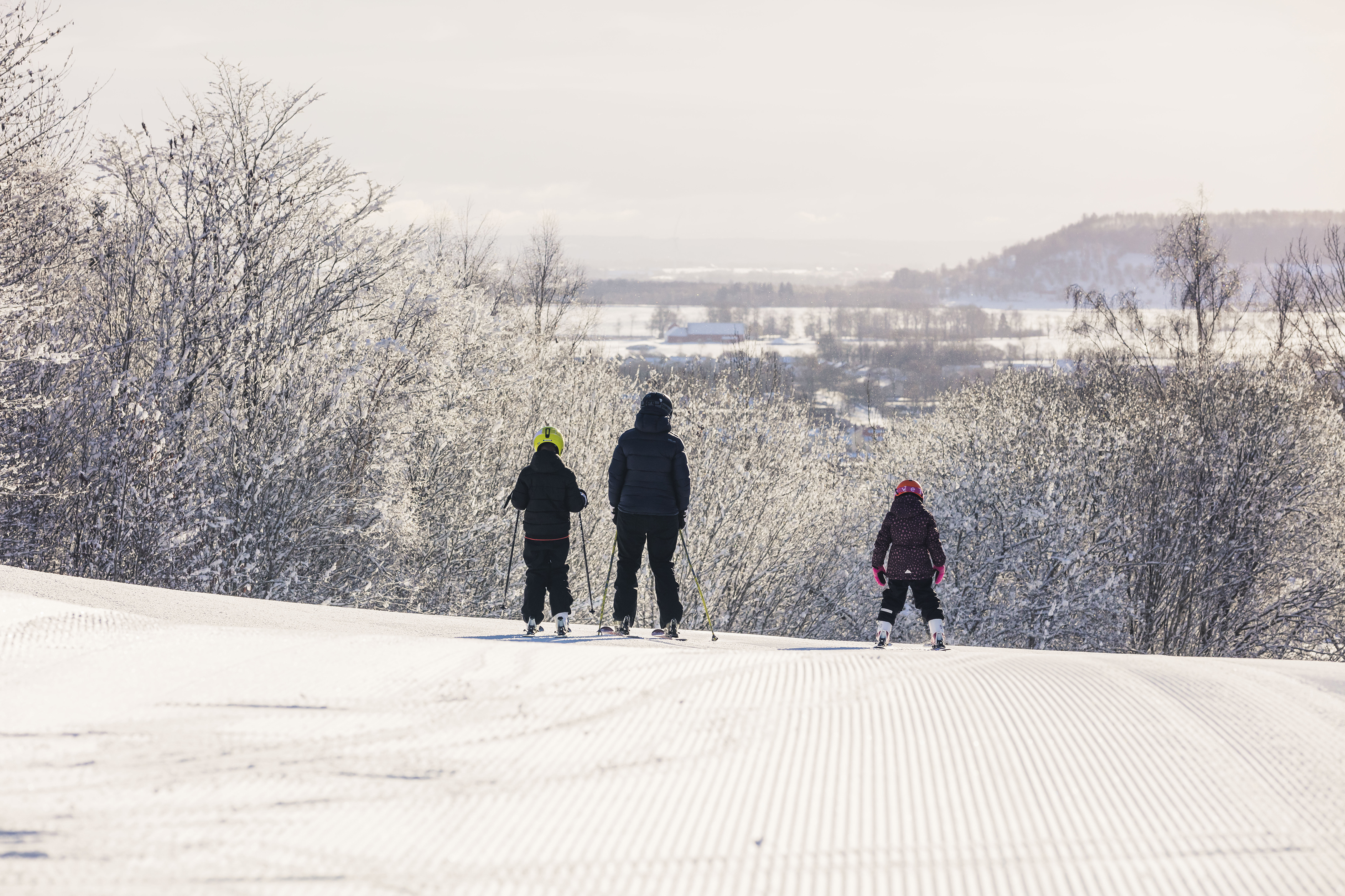 Tre personer är på väg ner för skidbacken. De har ryggen mot kameran.