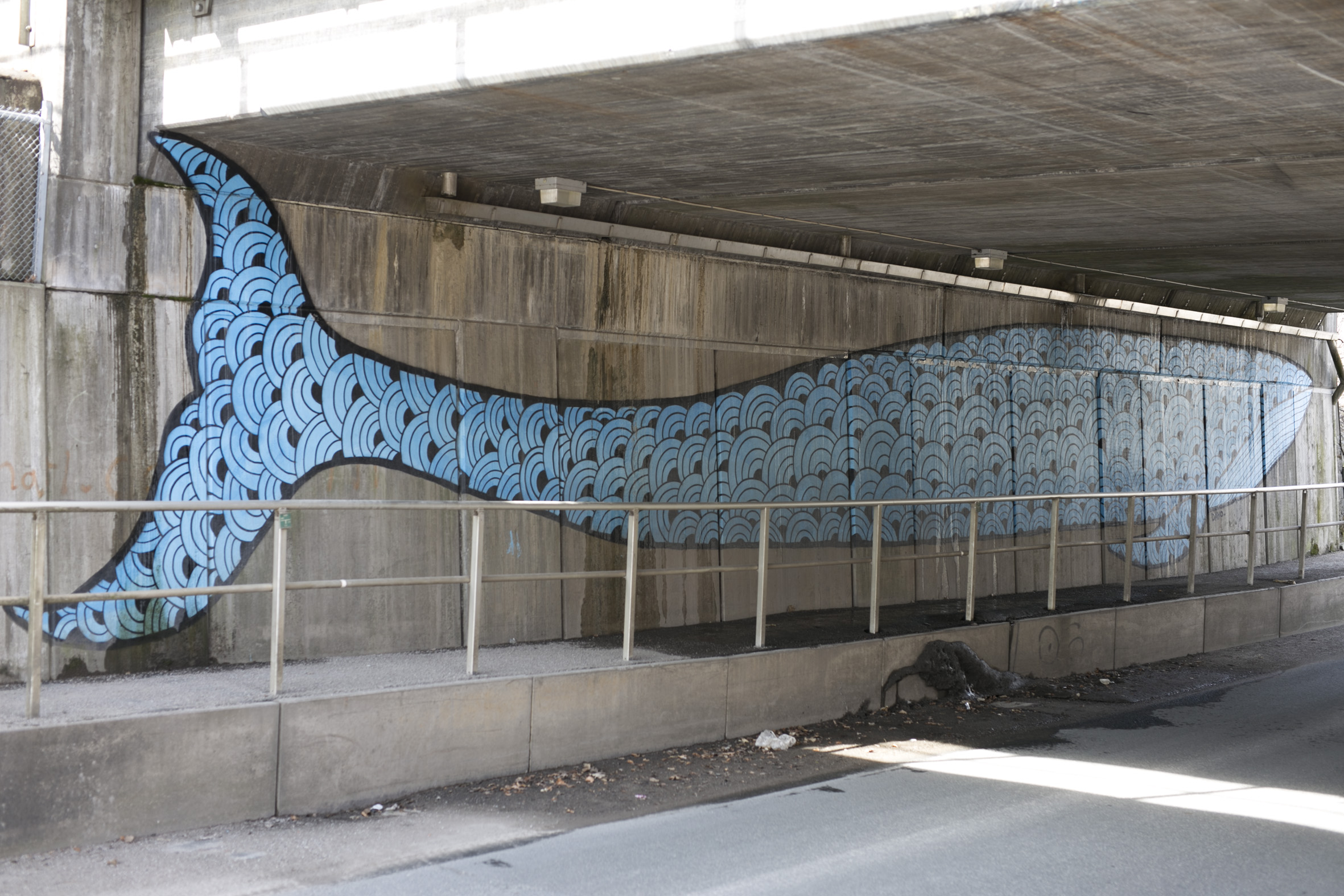 Abstract Art och Whale