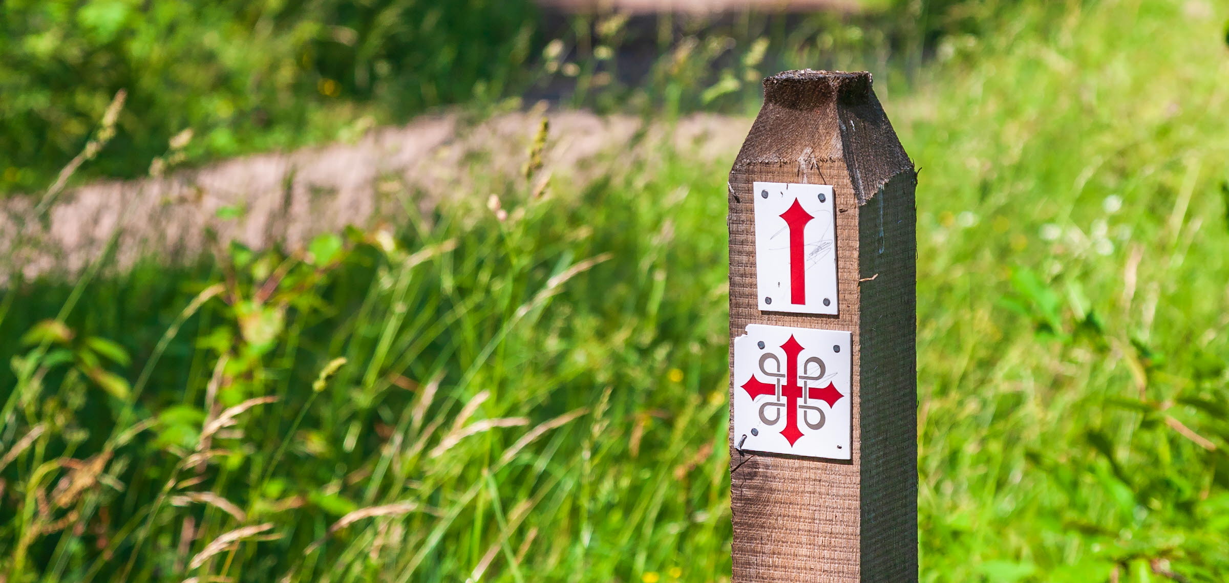 Pilgrimsmärke på en ekstolpe ute i naturen.