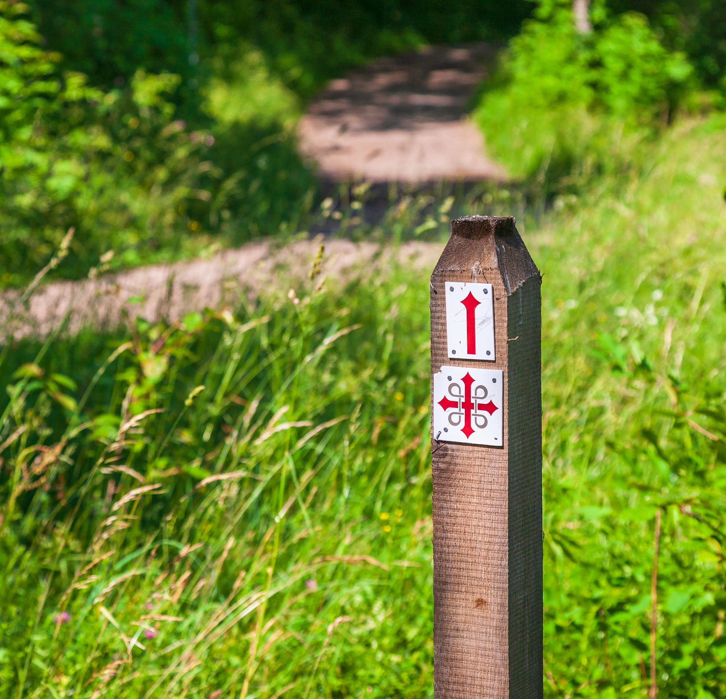 Pilgrimsmärke på en ekstolpe ute i naturen.