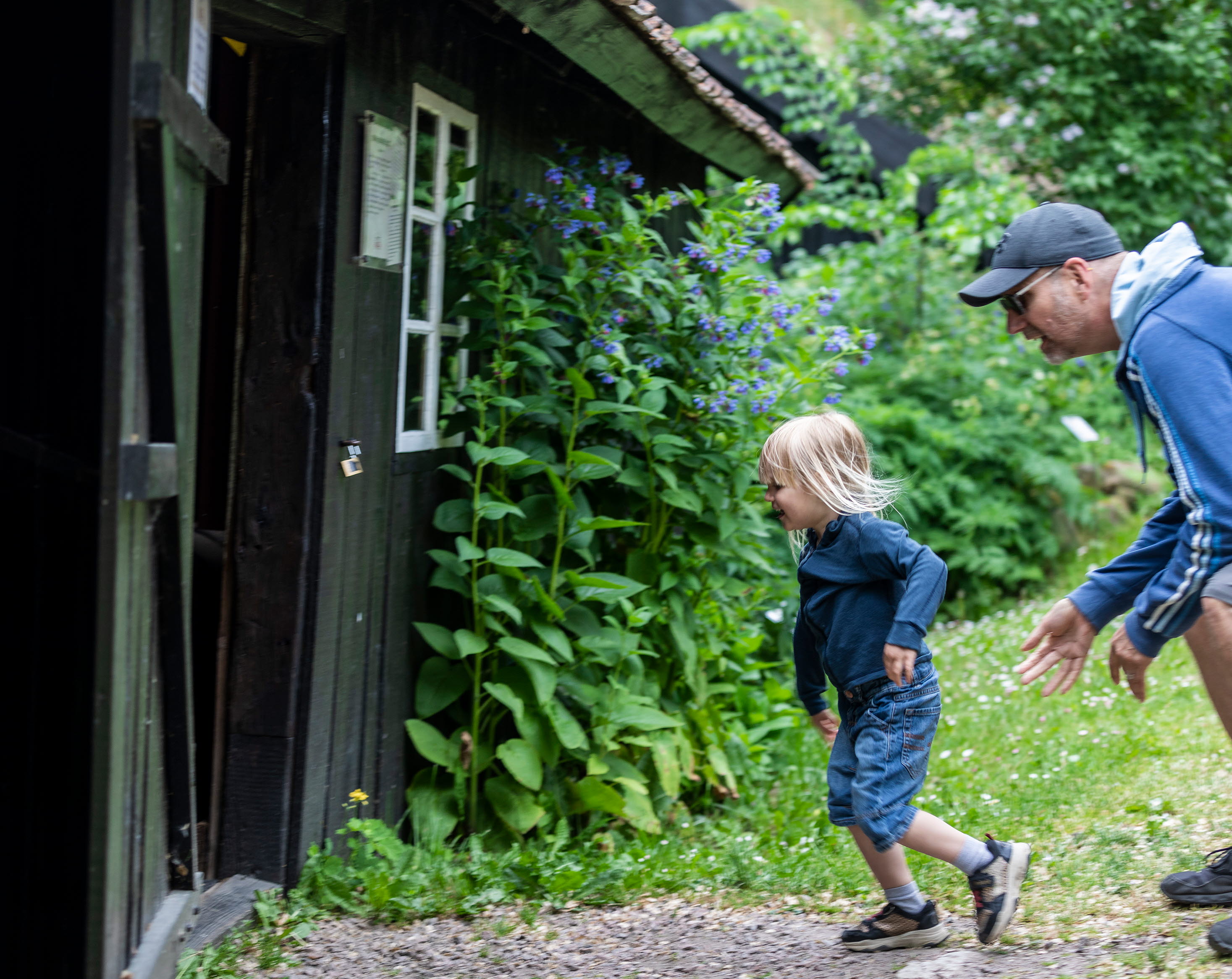 Flicka på väg in i en backstuga. Pappa står bakom och hukar sig frammåt.