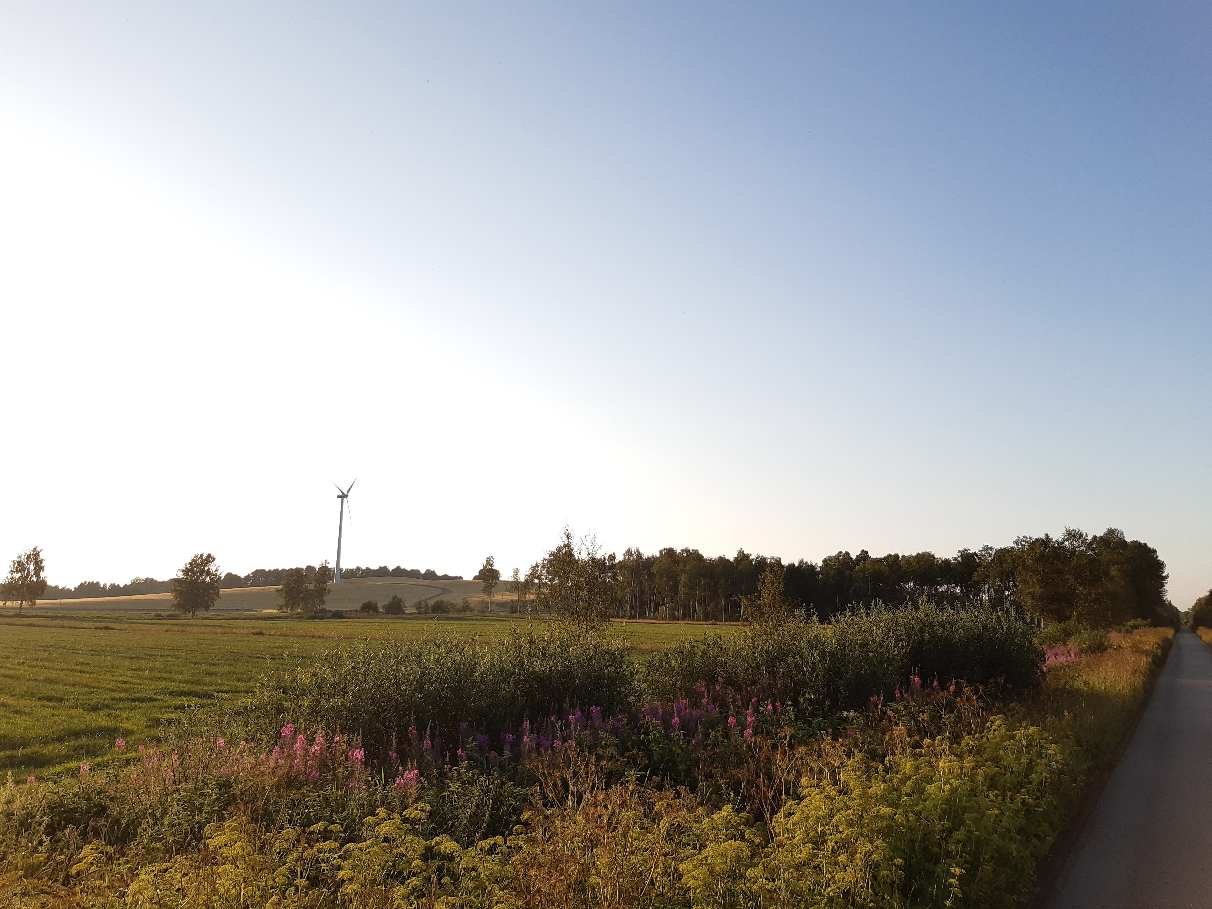 Naturbild med vacker grönska oc´h en asfalterad cykelväg.