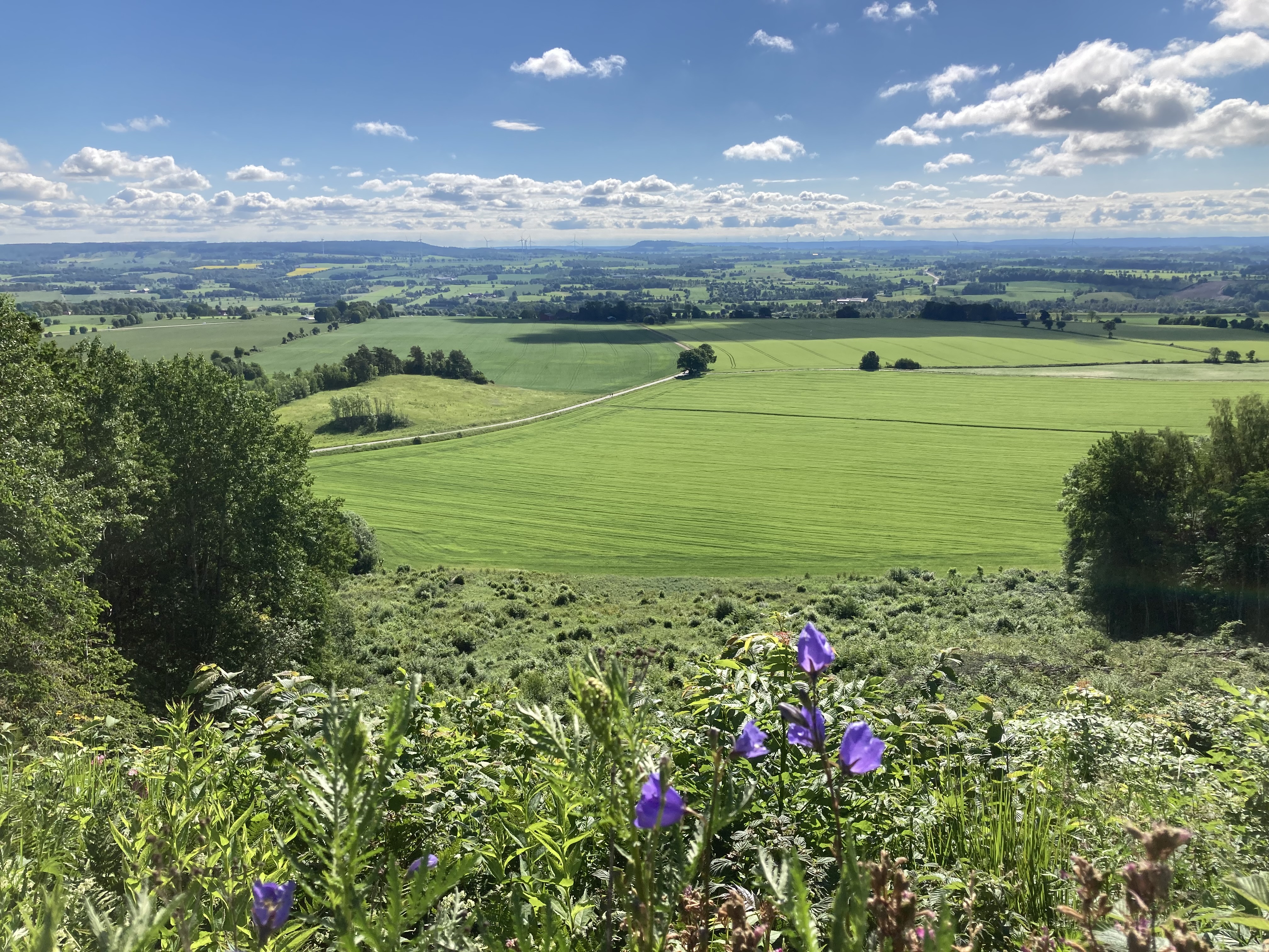 Utsiktsbild över landskapet vid Ålleberg.