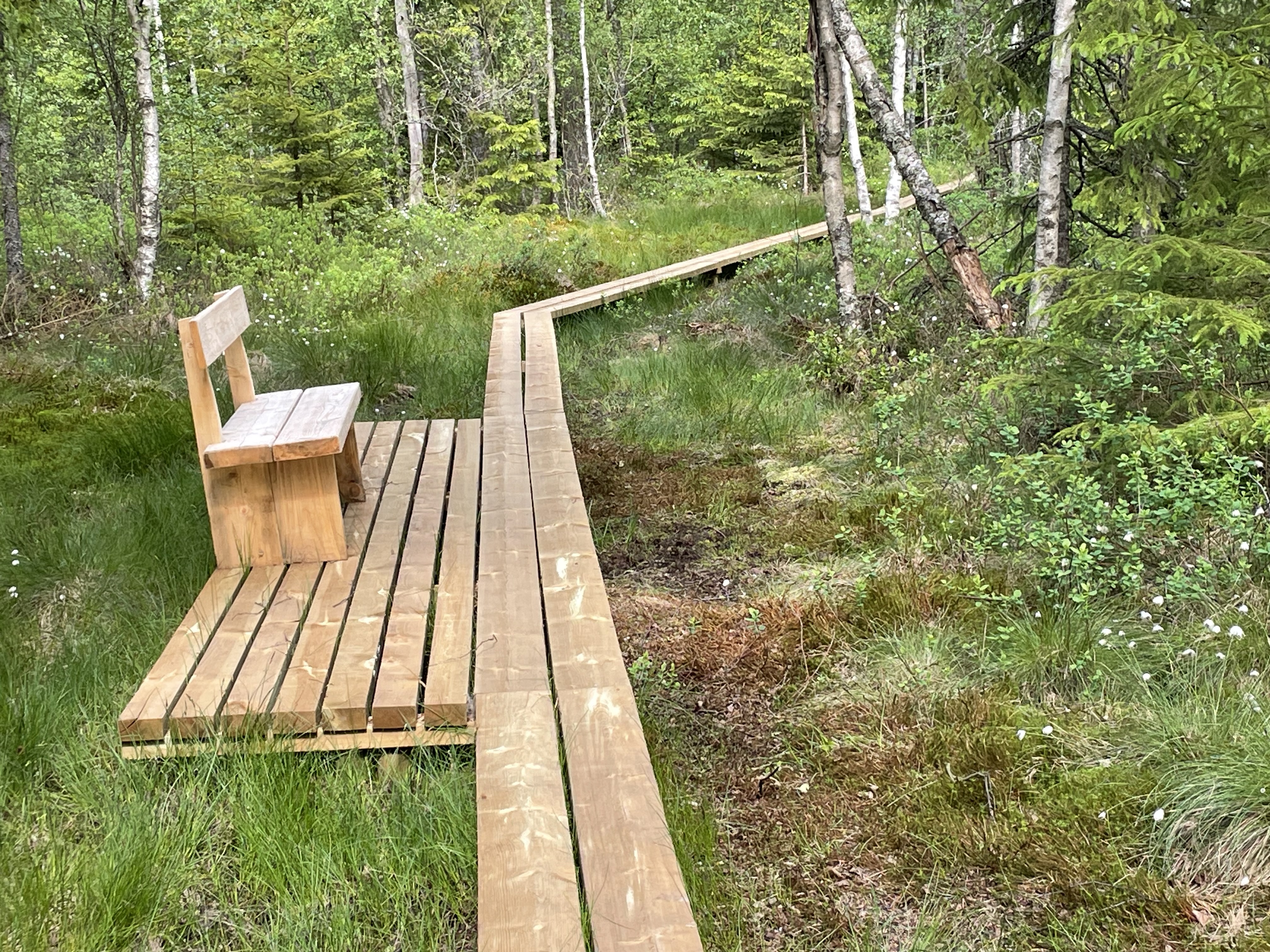 en träbänk ute i naturen