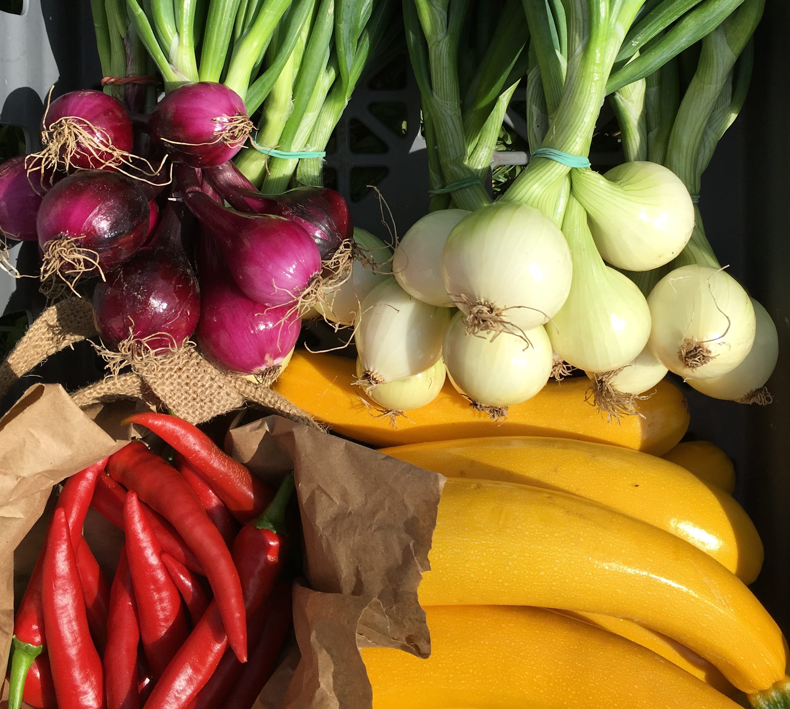 Olika grönsaker som lök, zucchini och chilli.