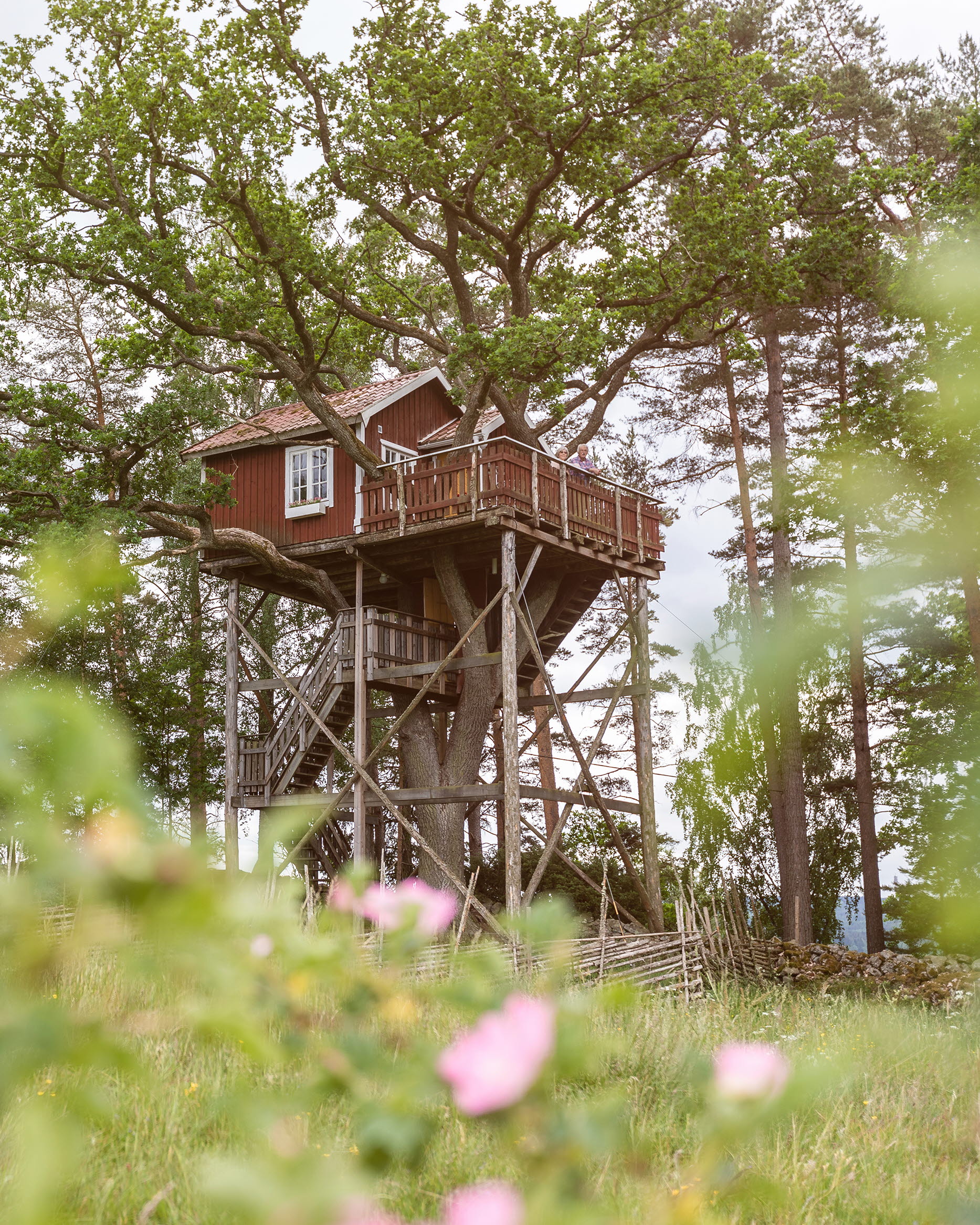 Röd liten  stuga byggd uppe i ett träd.
