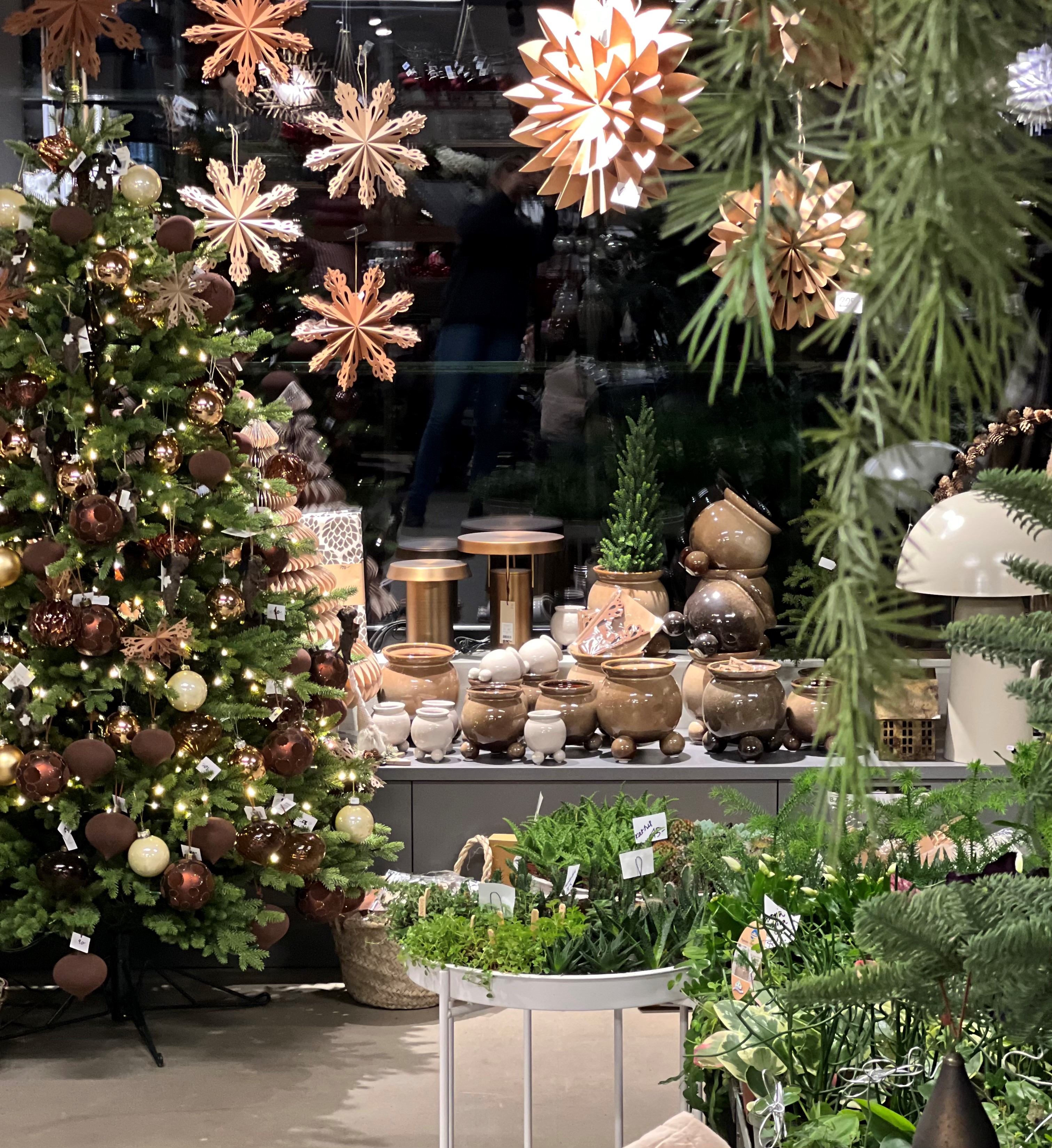 Skyltfönster med ljustjrärnor i brunt pappa. en julgran med dekorationer i brunt och guld.