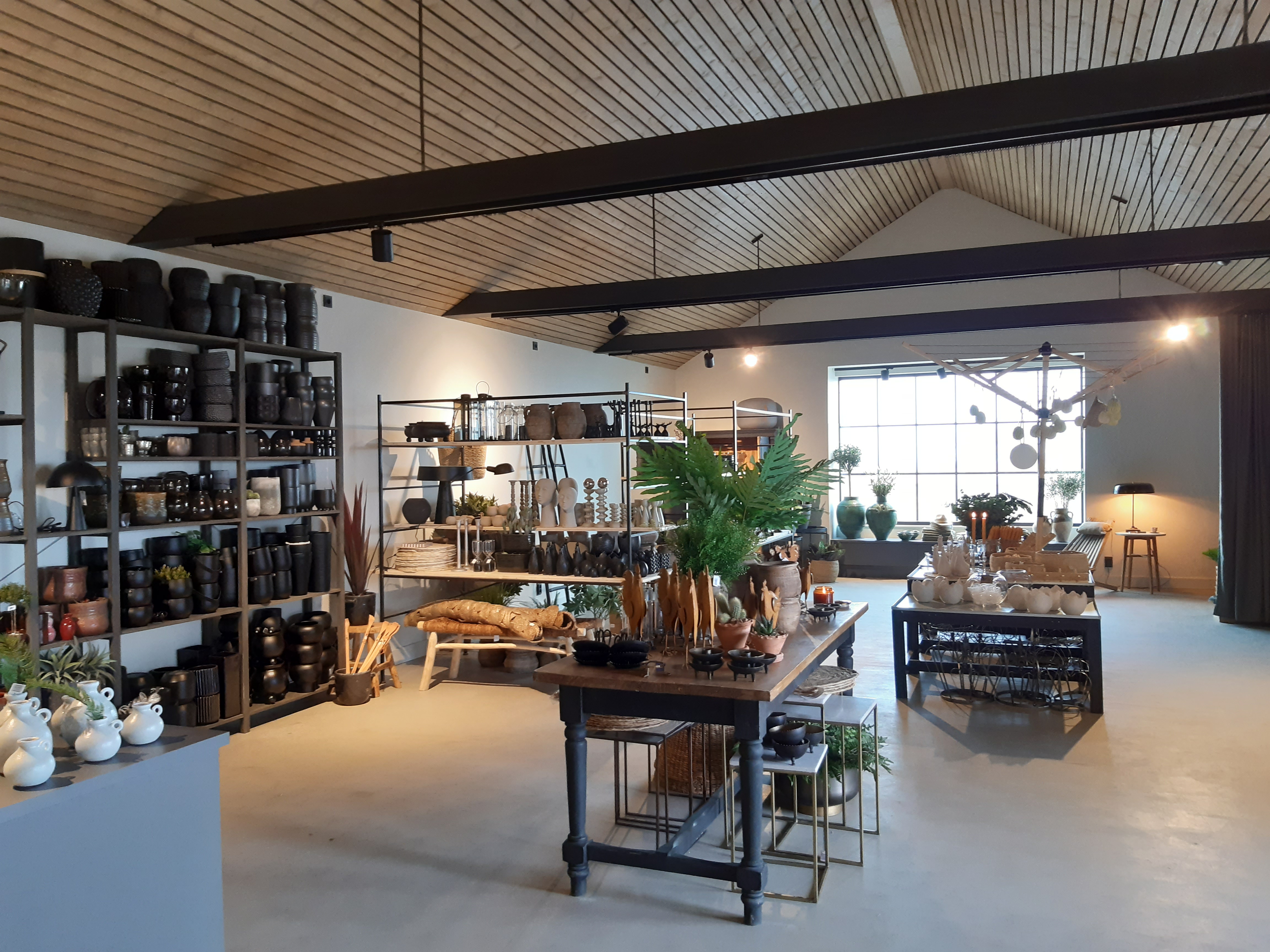 butik med inredning, hyllor och en disk.