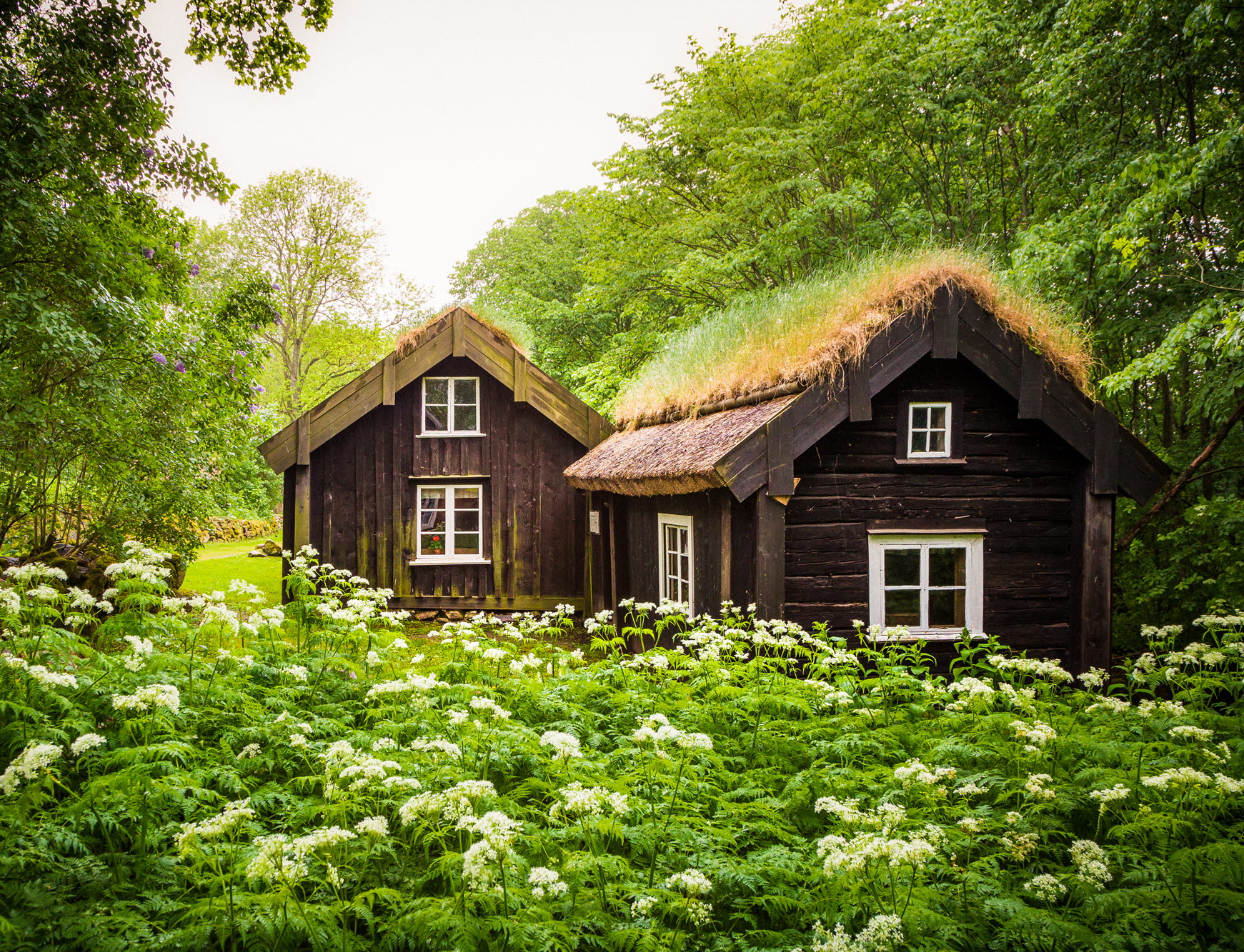 Åsle Tå, backstugor i brunt med gräs på taket. Lummig och grön natur runt omkring.