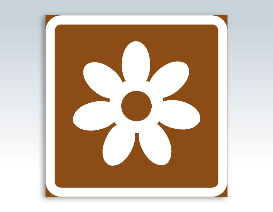 Vit blomma på brun bakgrund