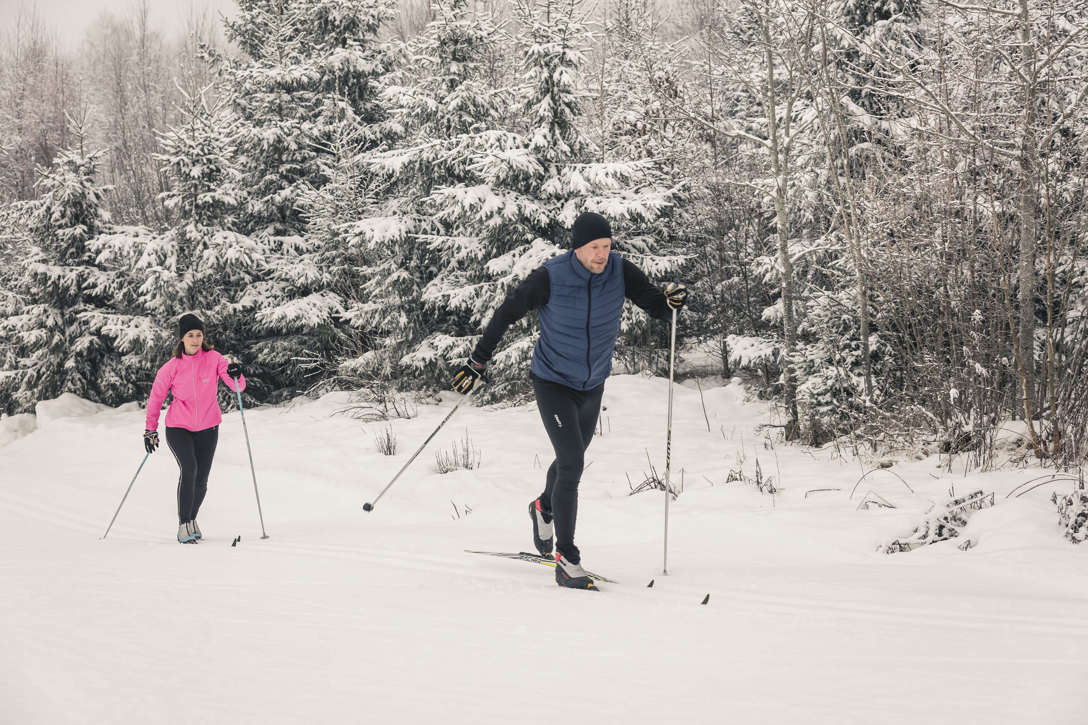 Man and woman cross-country skiing. The woman has a pink jacket and black trousers and the man a blue jacket and black trousers.