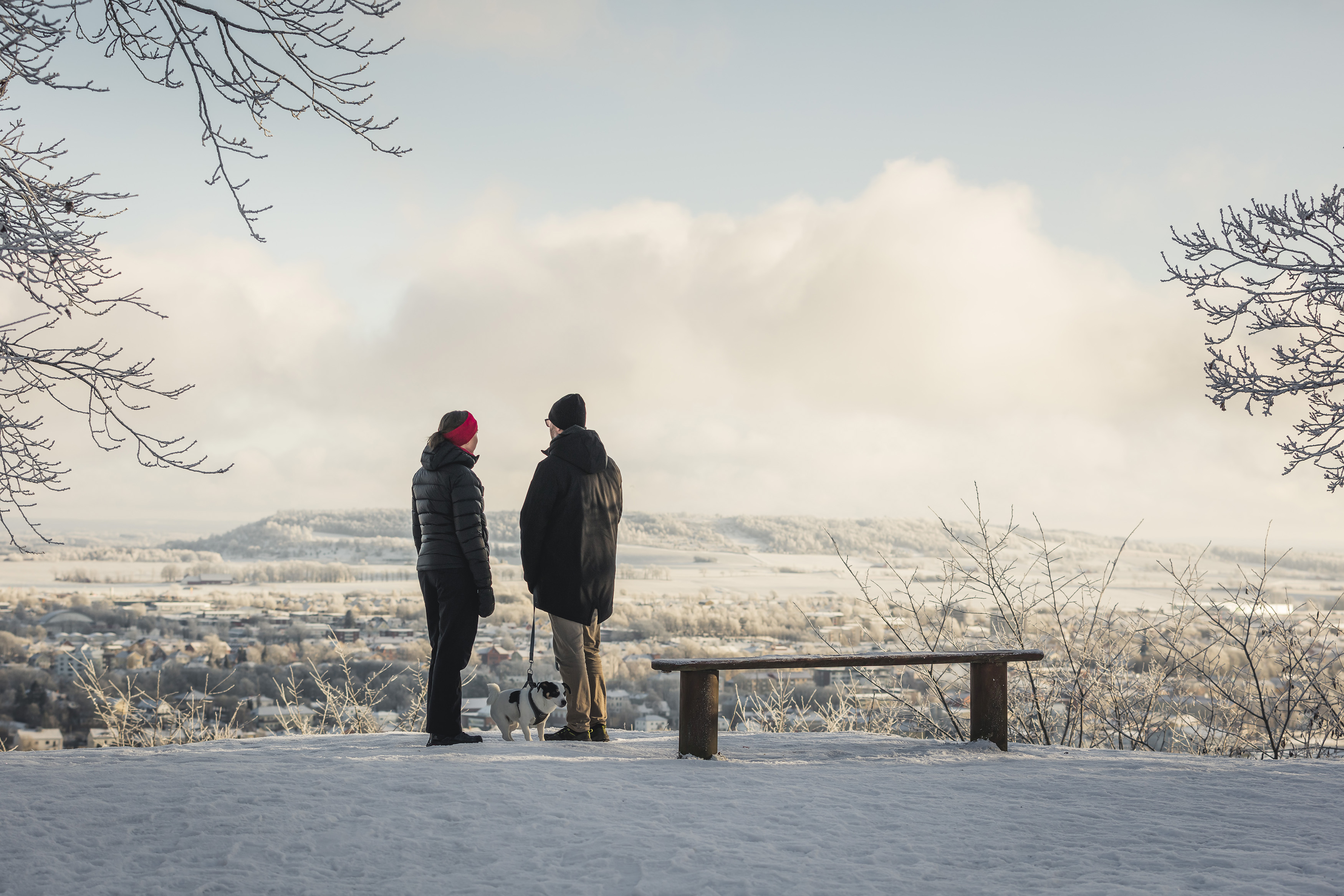 Man och kvinna står och kikar på utsikten med en hund. Det är vinterlandskap.