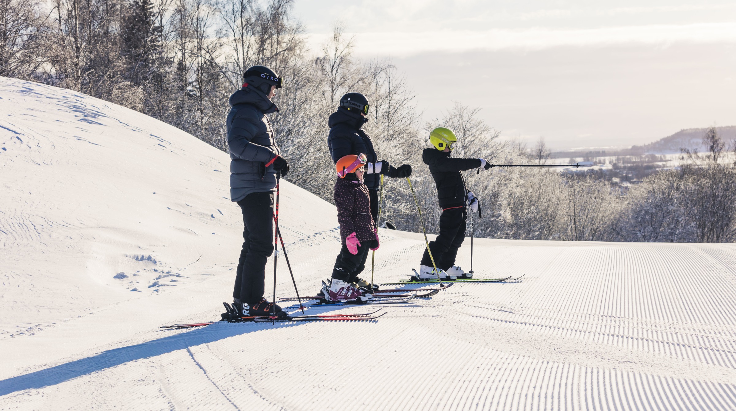 Två vuxna och två barn står i skidbacken och kikar på utsikten.