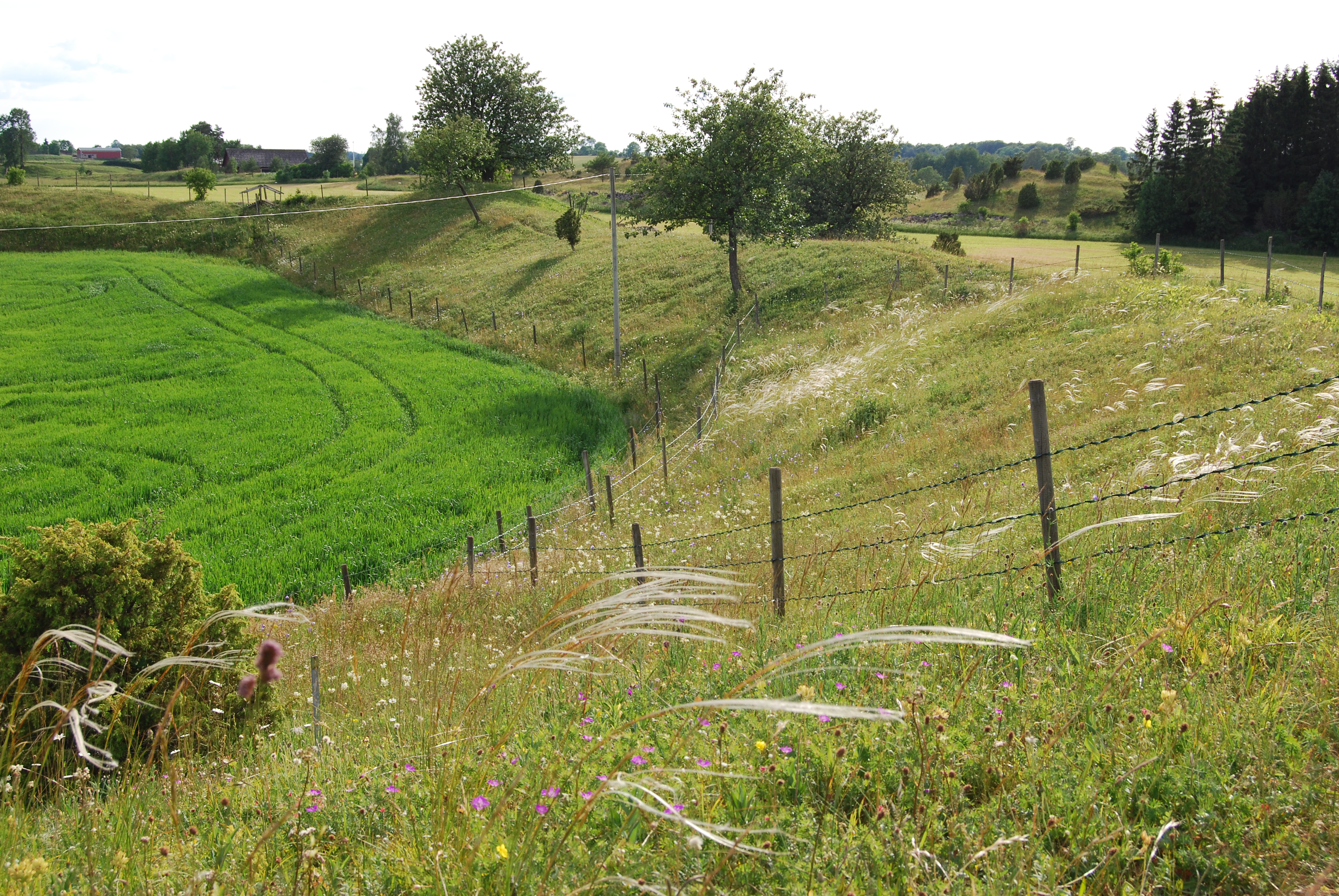 Naturreservat Falköping