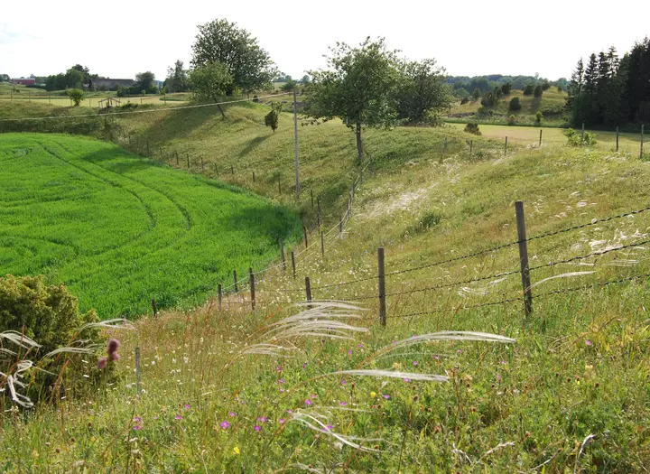 Naturreservat Falköping