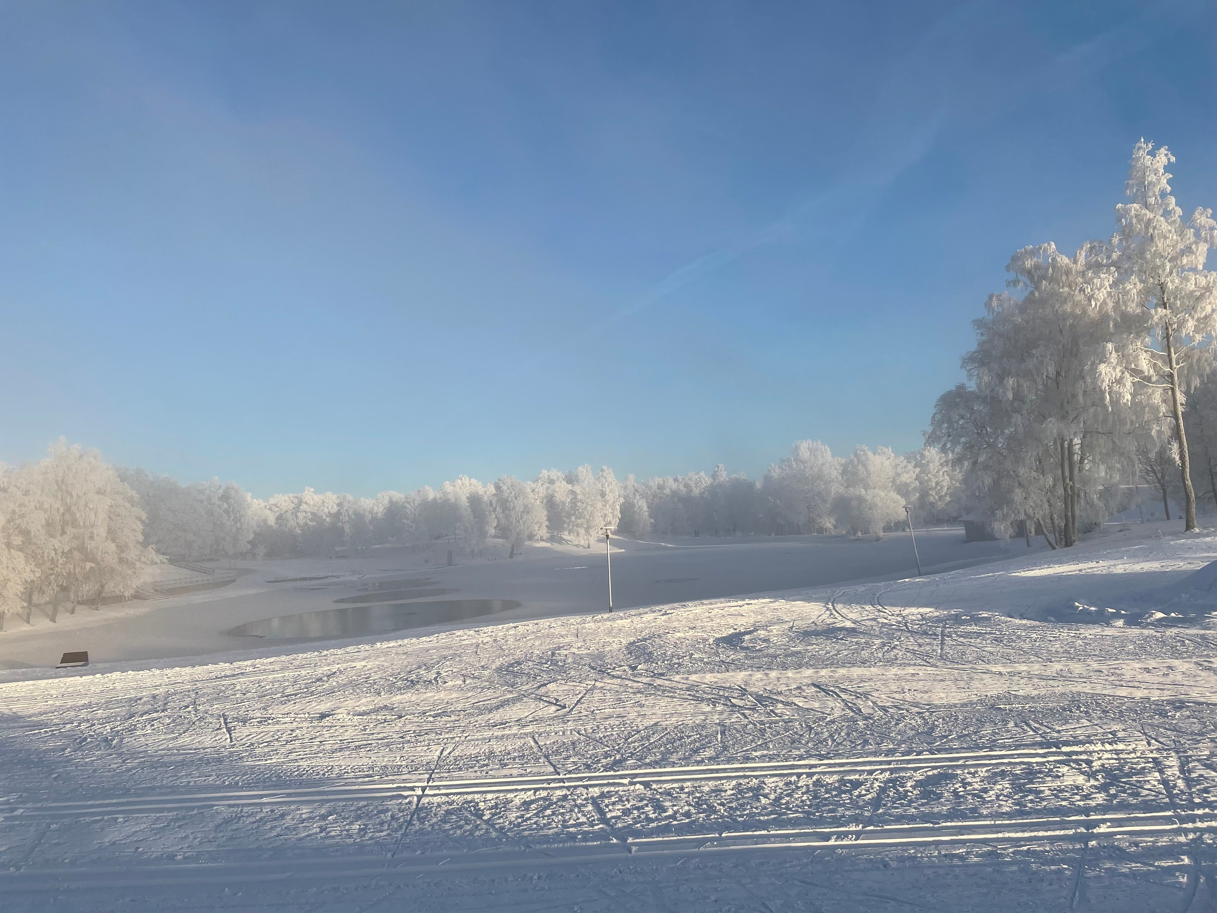 Vinterbild på Pankasjön/Skogsjön med massor av snö och snötäckta träd.