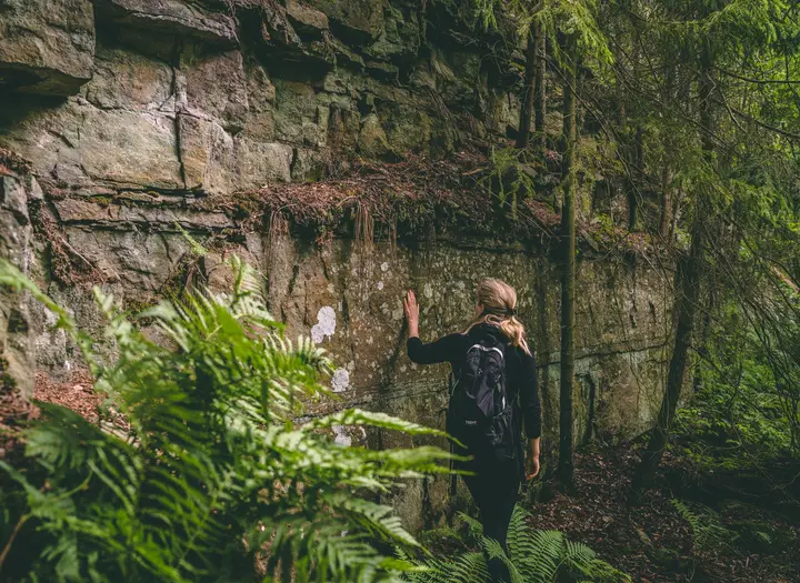 Platåbergens Geopark