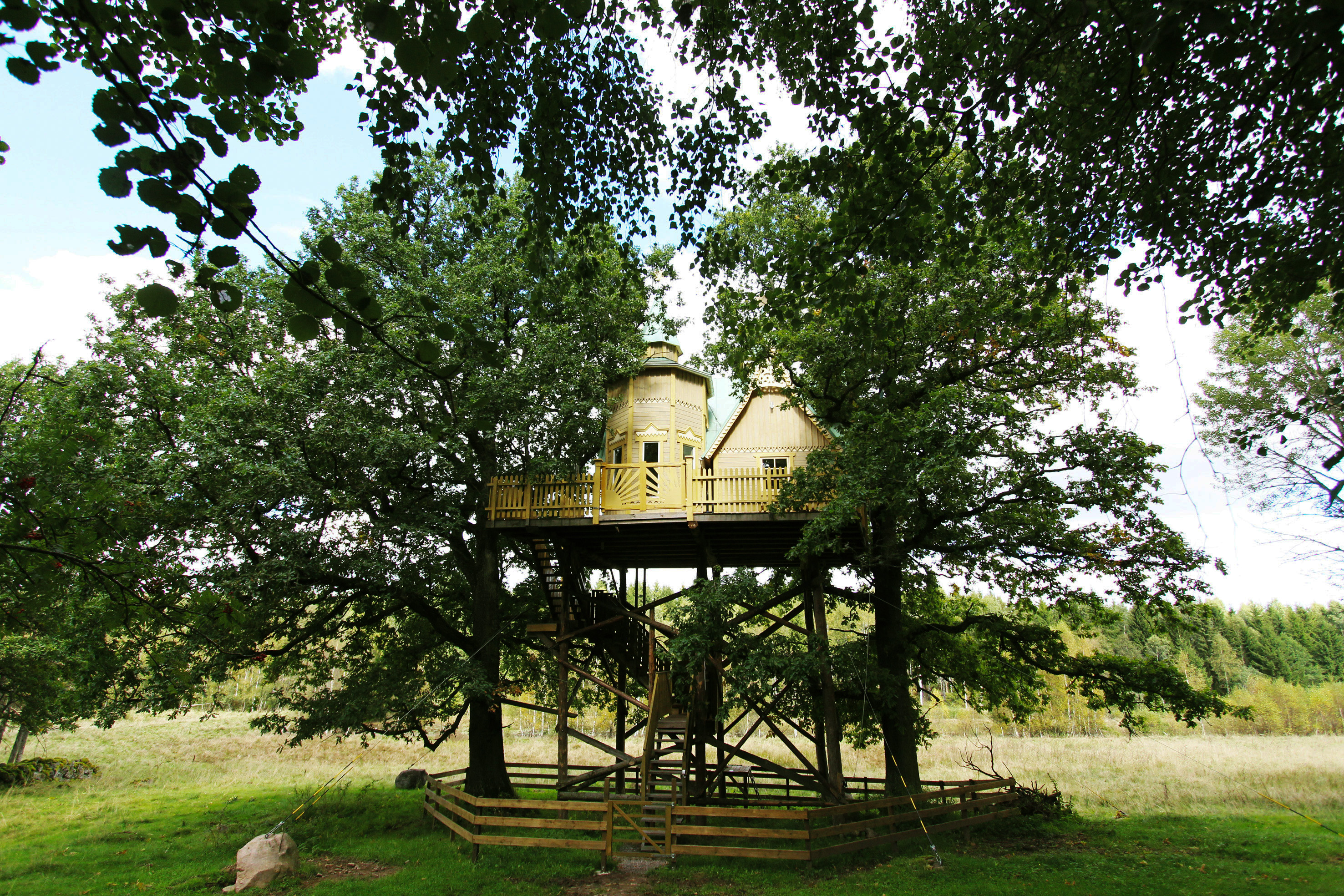 Sjunde himlen, ett gult trähus upp i en ek.