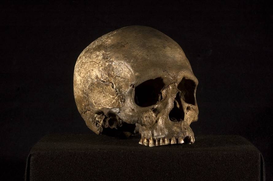 foto på skalle snett framifrån mot svart bakgrund