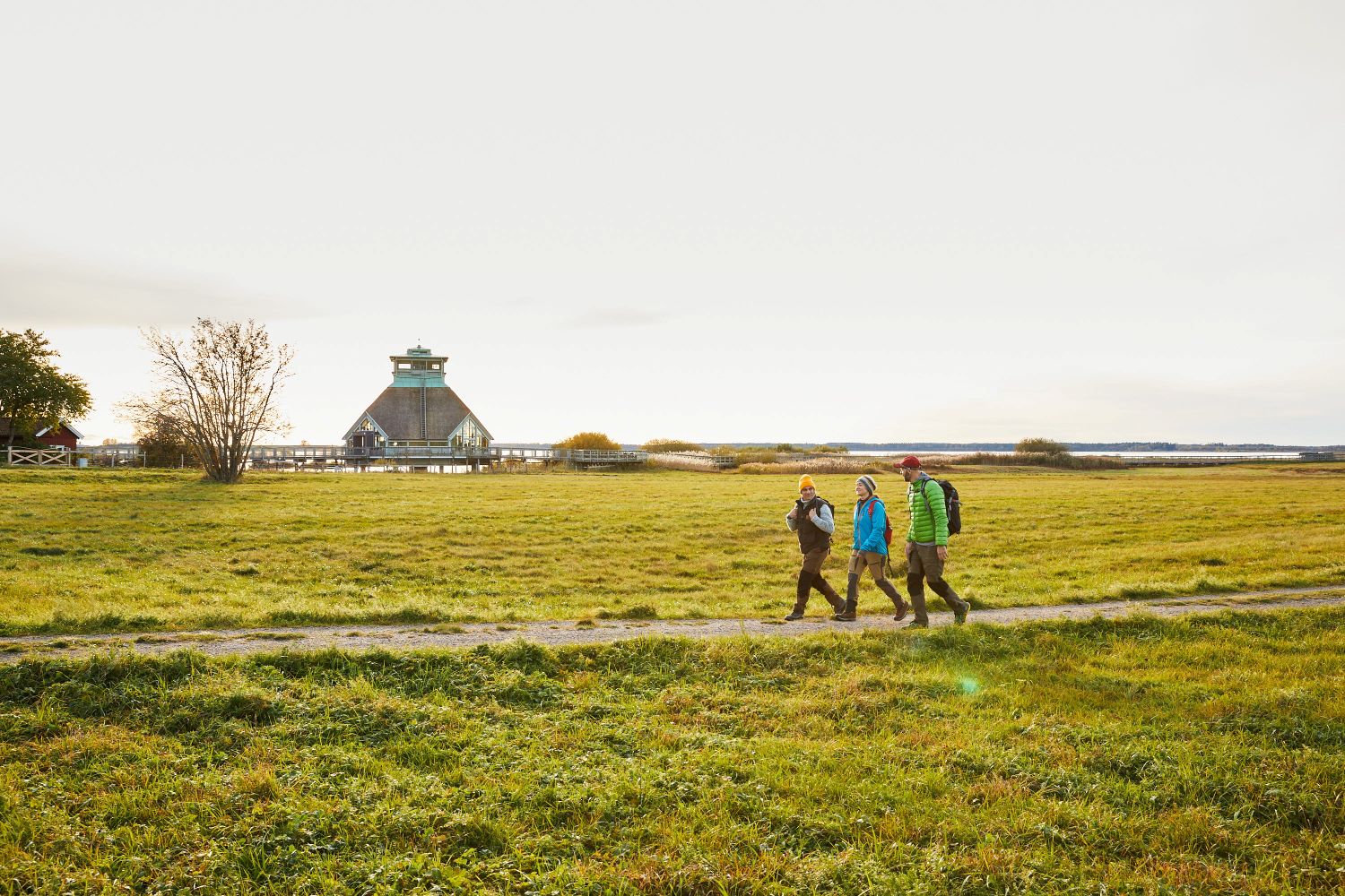 Vandrare vid Hornborgasjön