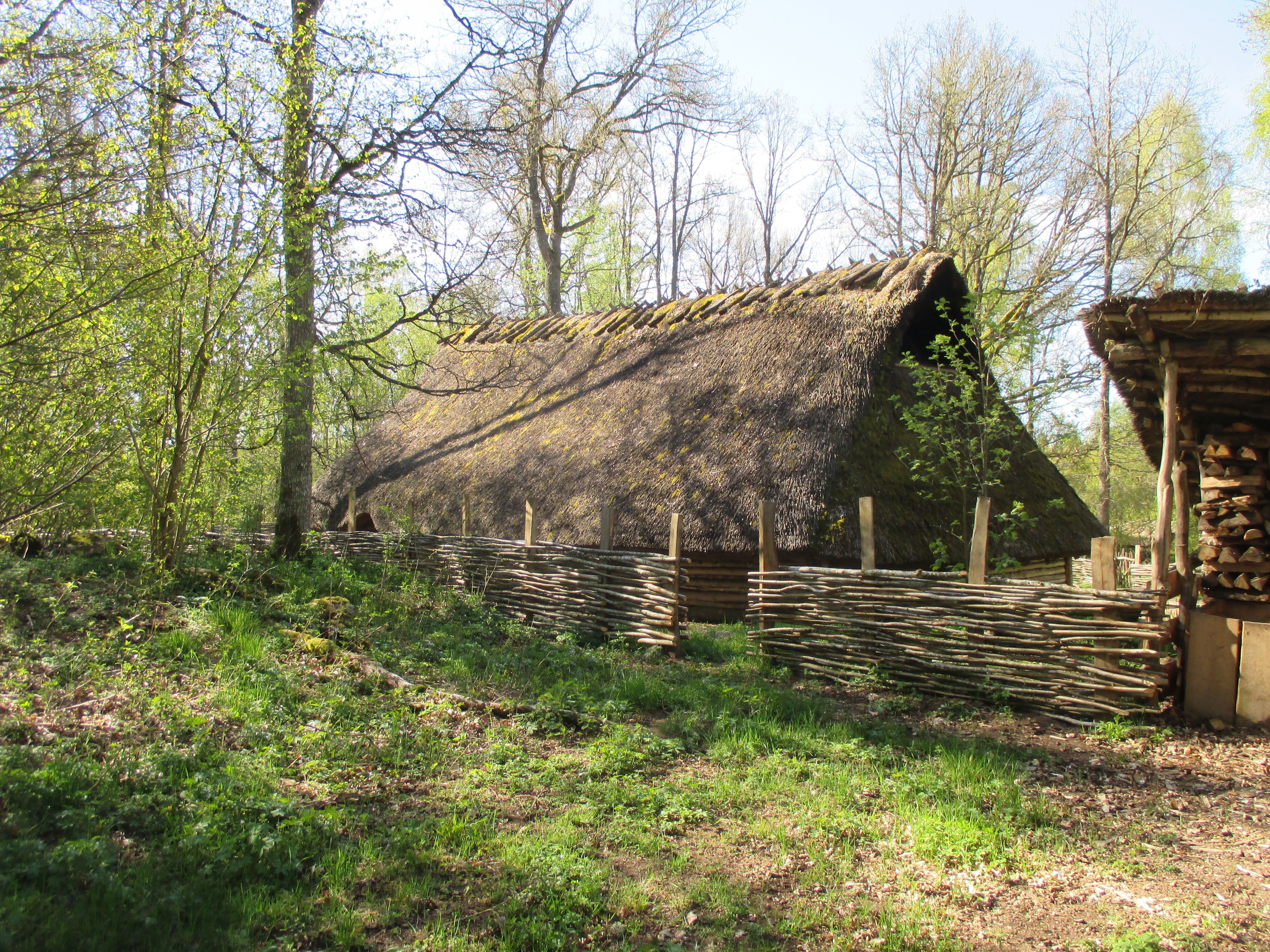 Ett forntidshus i skogen, med nyutslagna gröna löv på trädens grenar