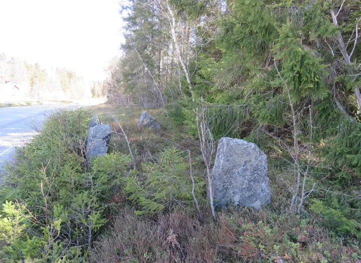 Grytfötterna gravfält