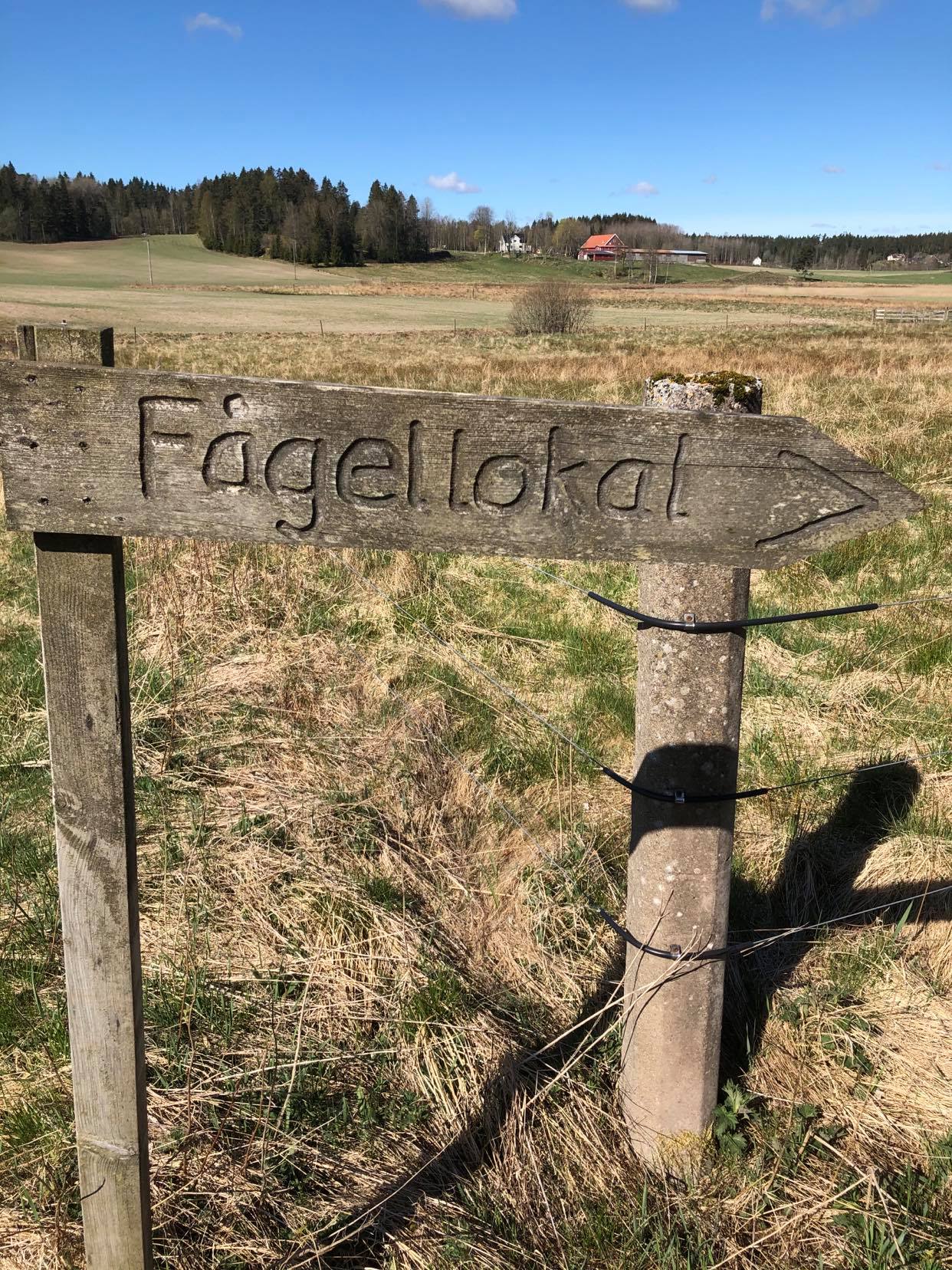 Hillingsätersjöns fågellokal