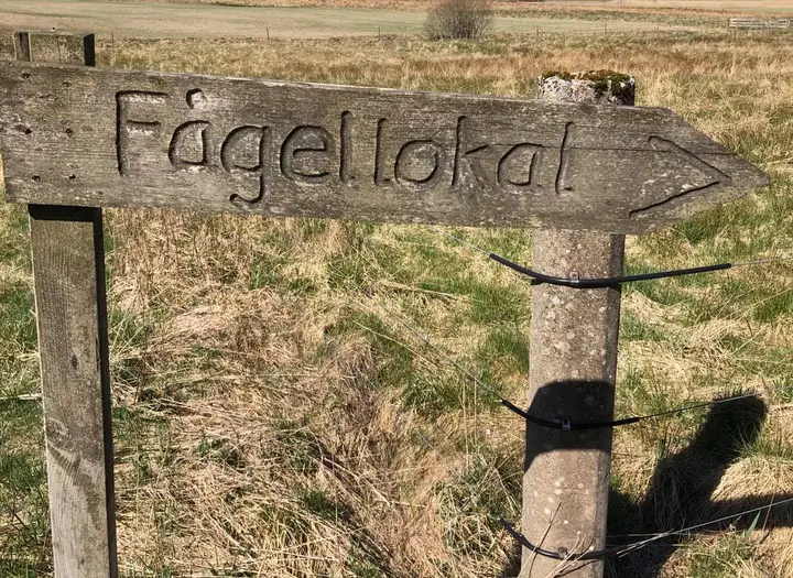 Hillingsätersjöns fågellokal