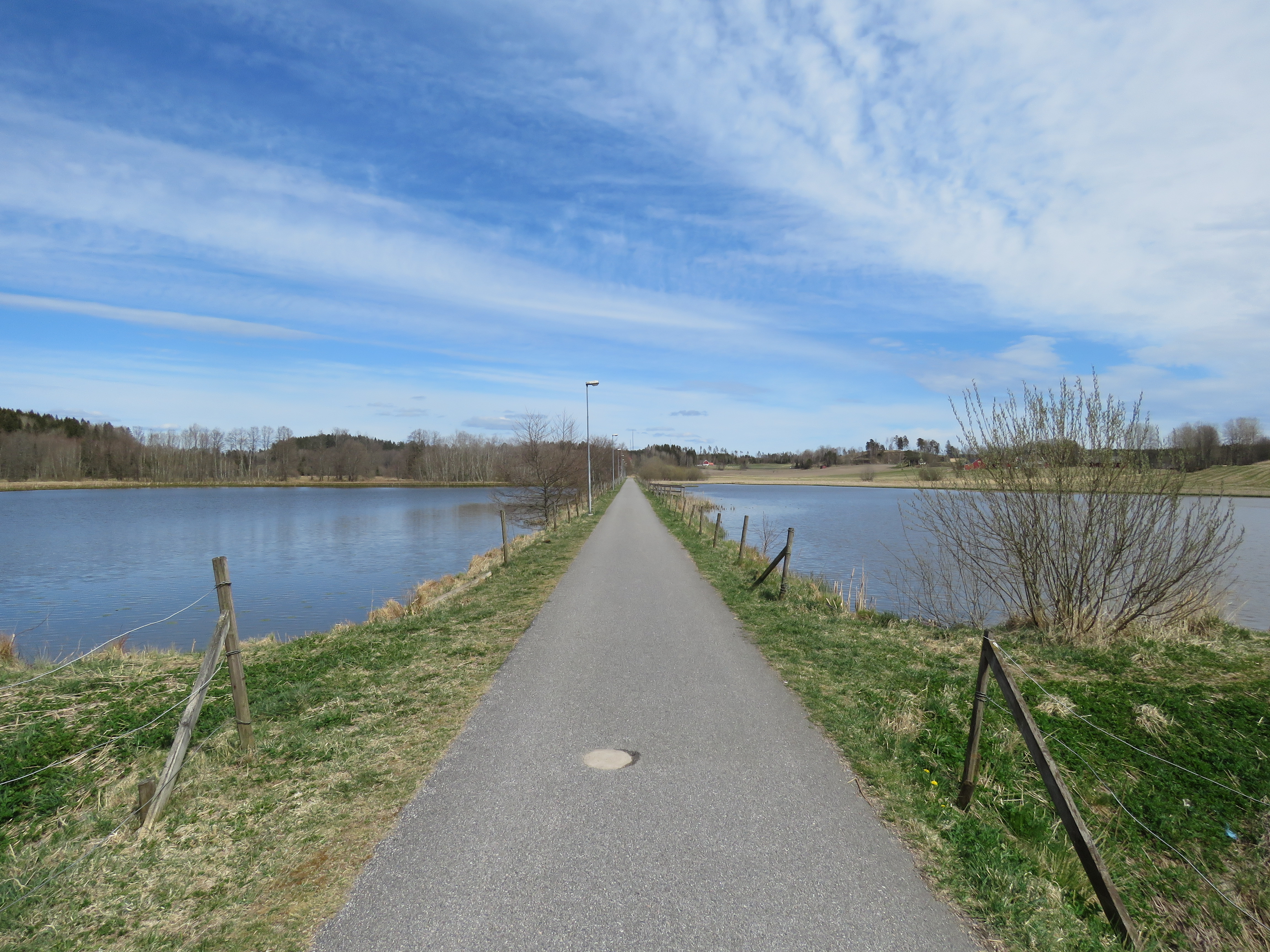 Våtmarken i Ödeborg