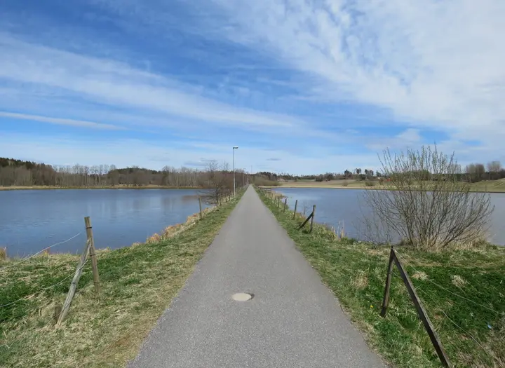 Våtmarken i Ödeborg