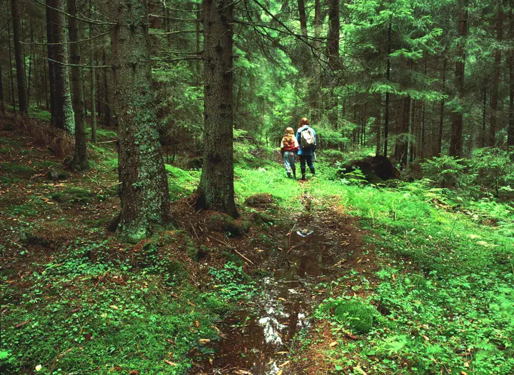 Kroppefjäll, friluftsliv