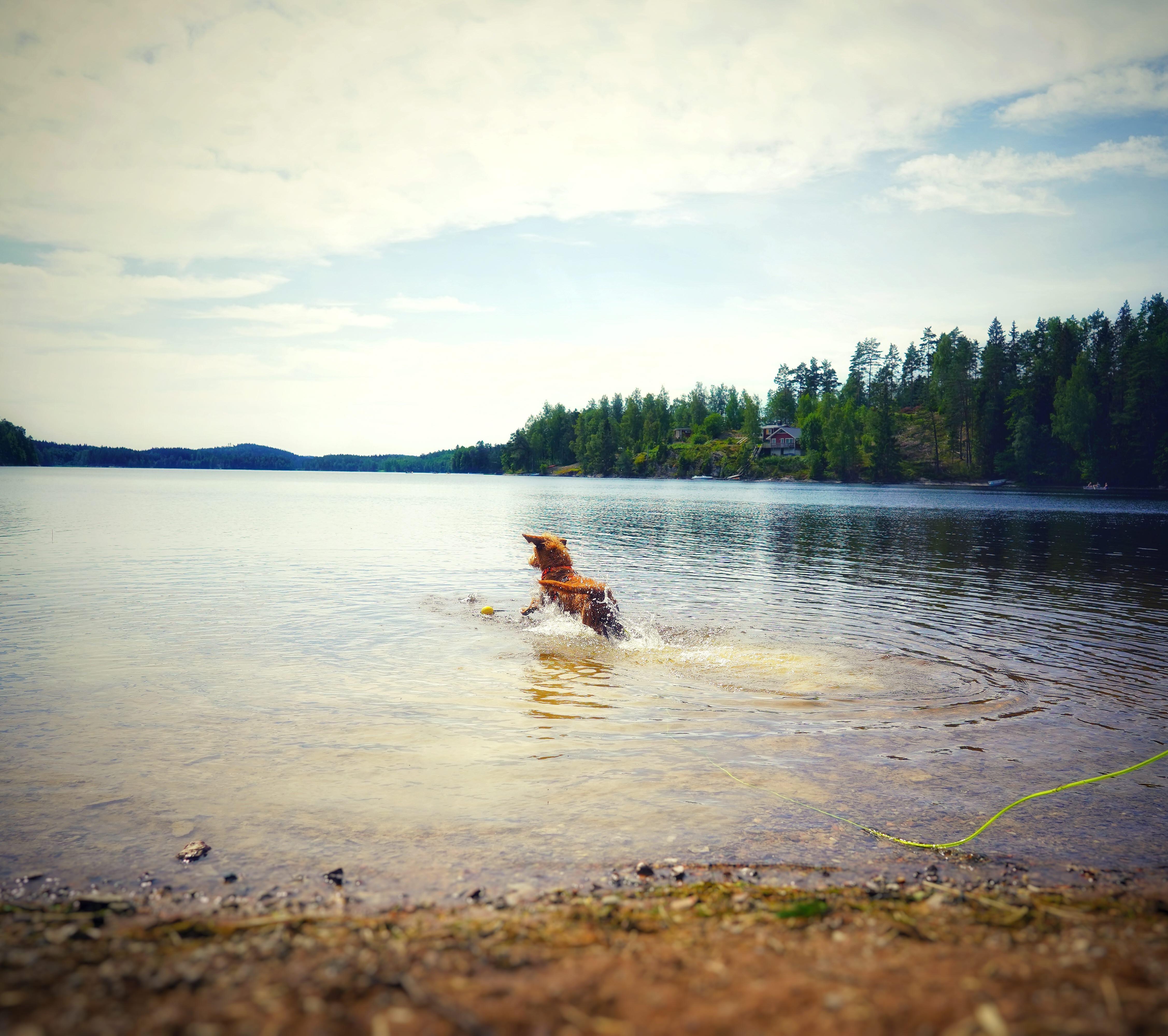 Ragnerudsjöns camping hundbad.