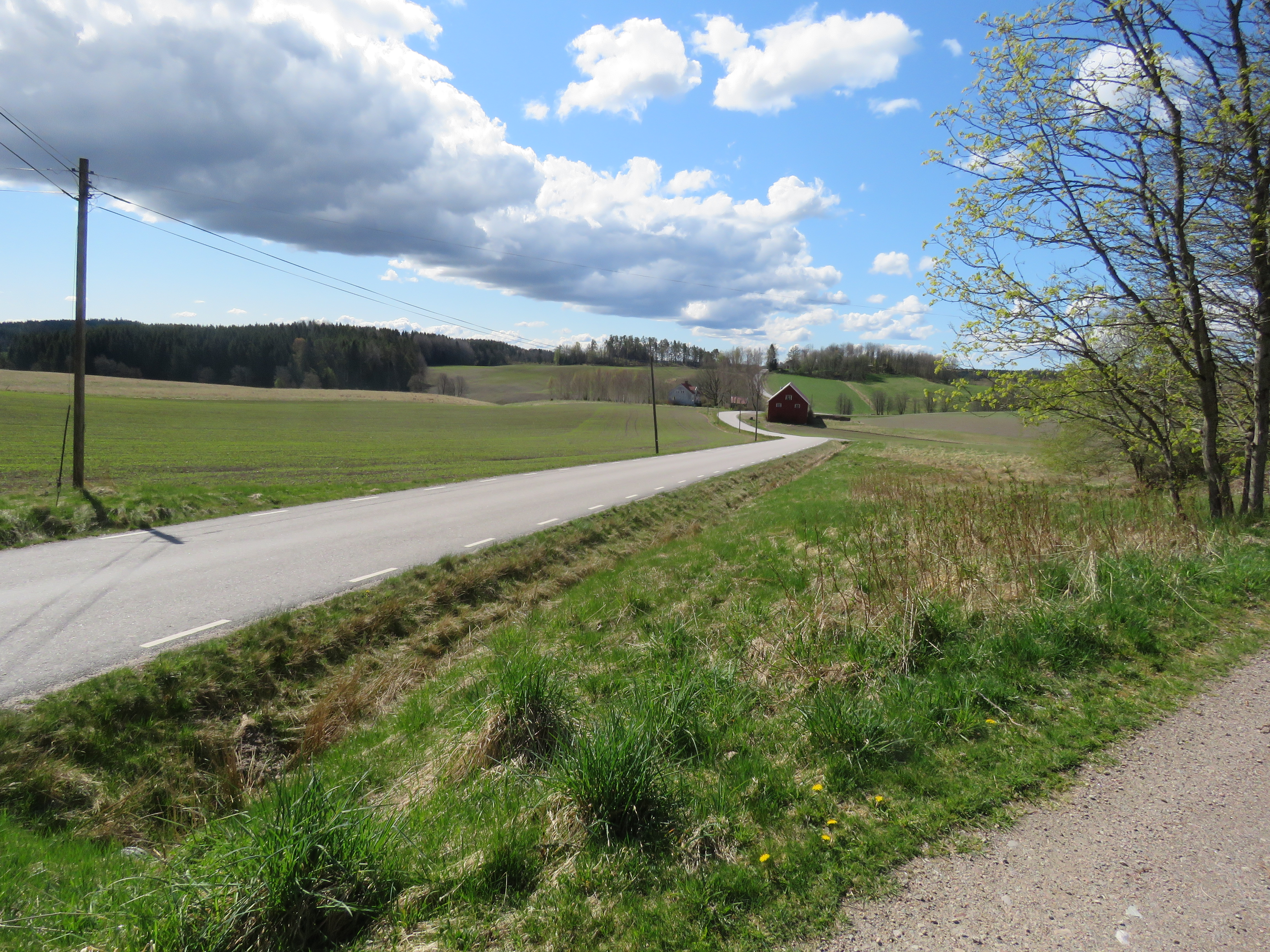 Tyrbergsbackens utsikt