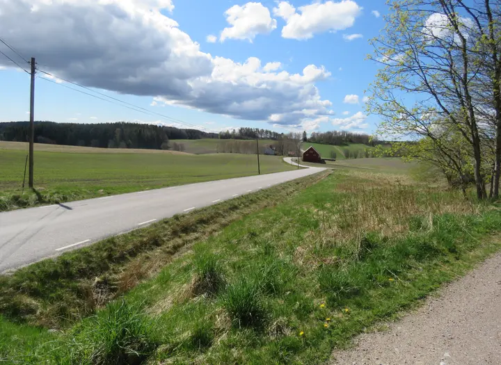 Tyrbergsbackens utsikt