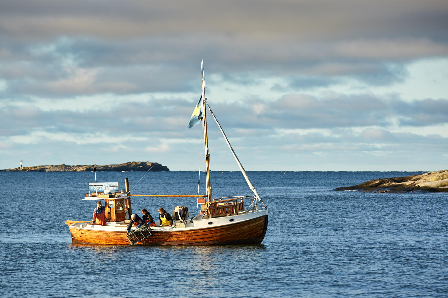 Kastor, Hummer, Hönö