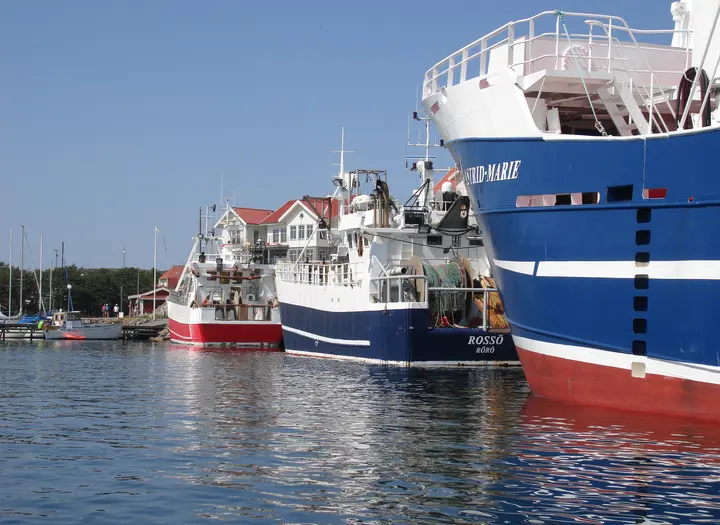 Ön Rörö