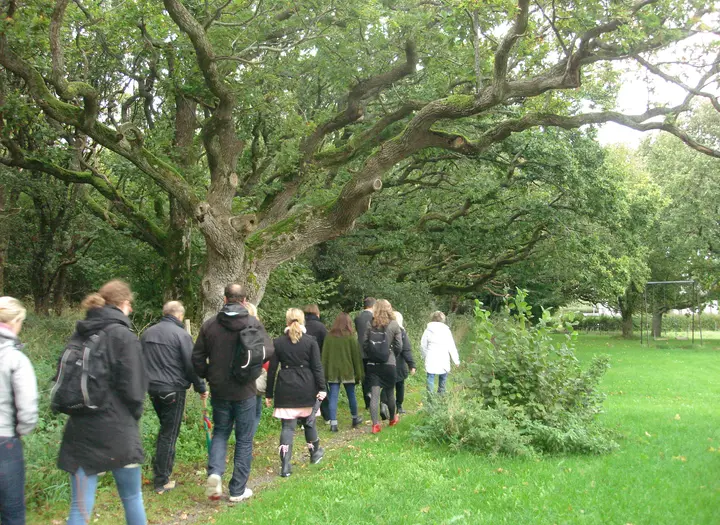 Ön Grötö