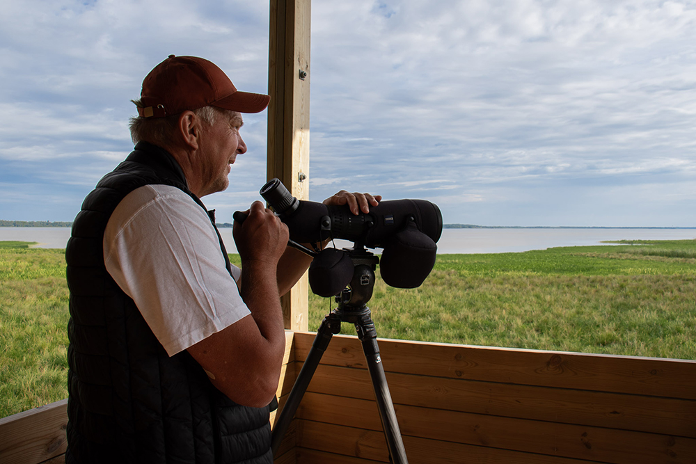 Man med fågelkikare