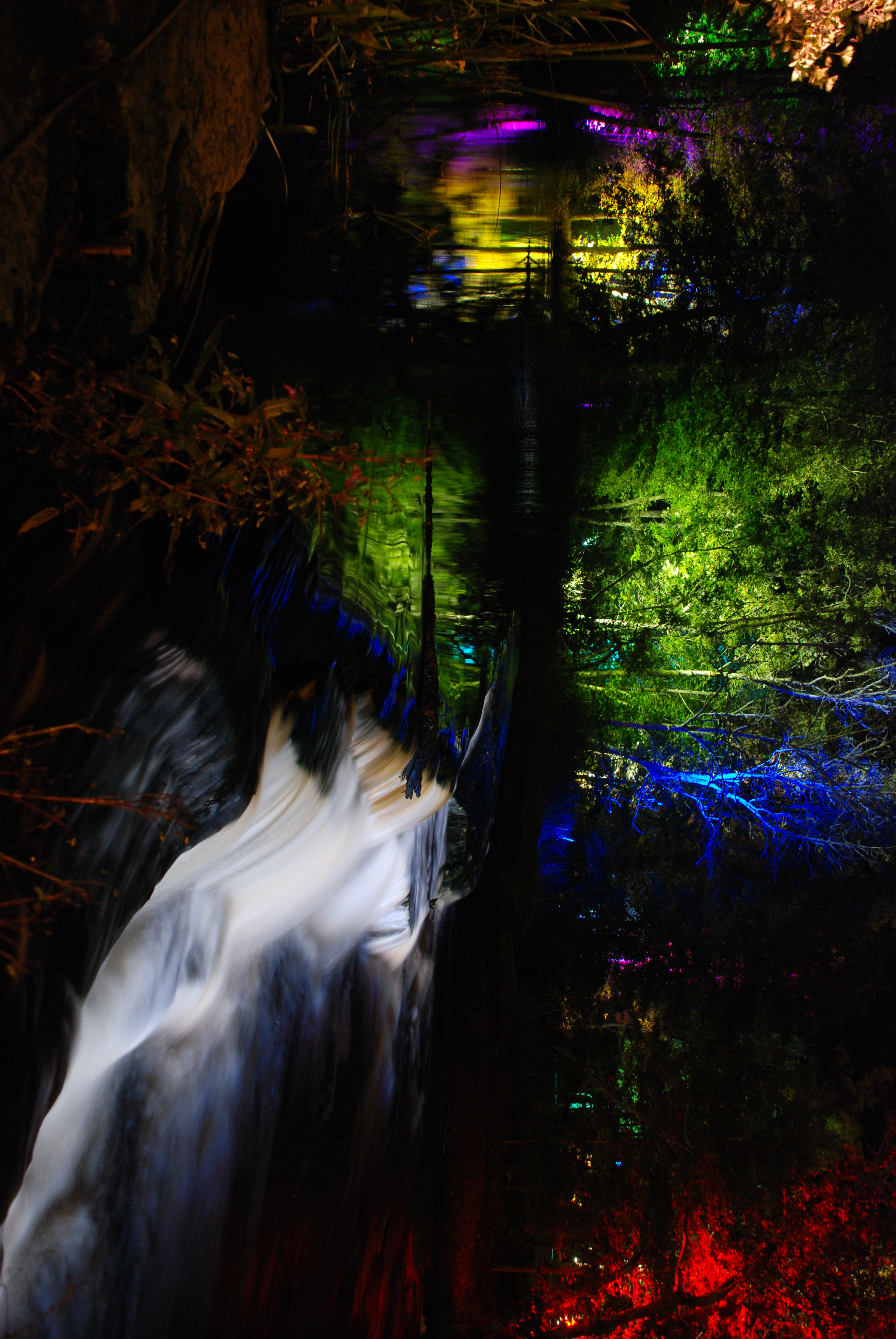 Upplysta träd vid en å.