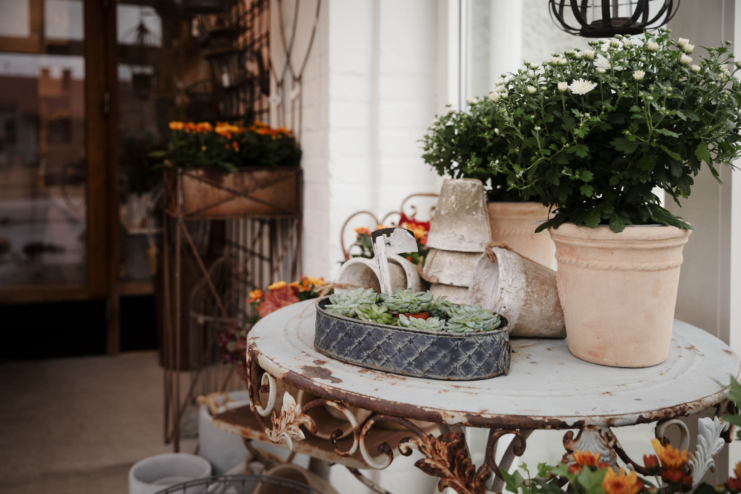 Gröna gåvan, krukor i blomsterbutik