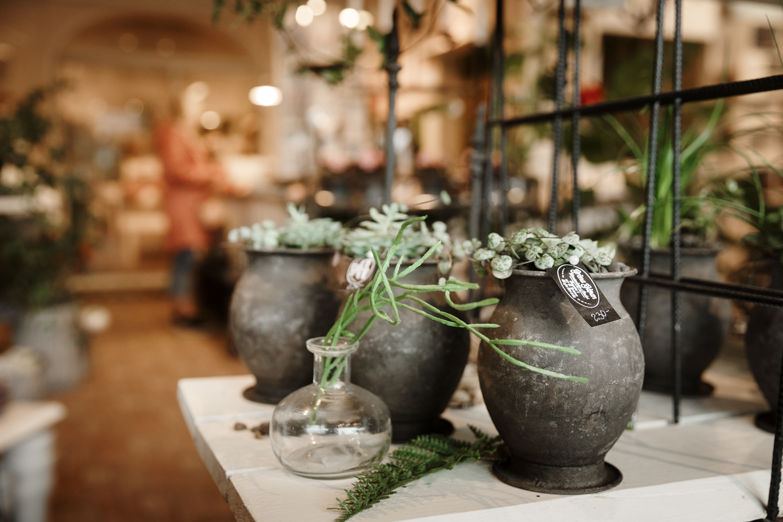 Gröna gåvan florist i Grästorp, blommor i krukor på hylla