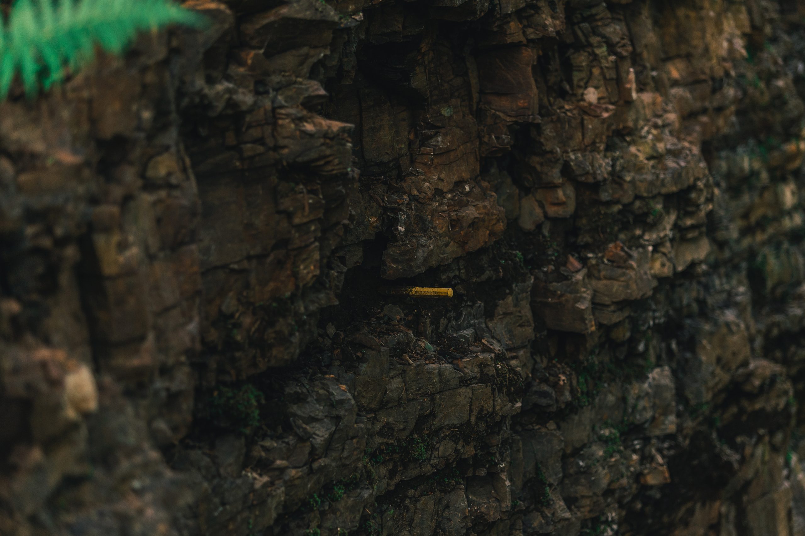 Gyllene_spiken-Hunneberg-