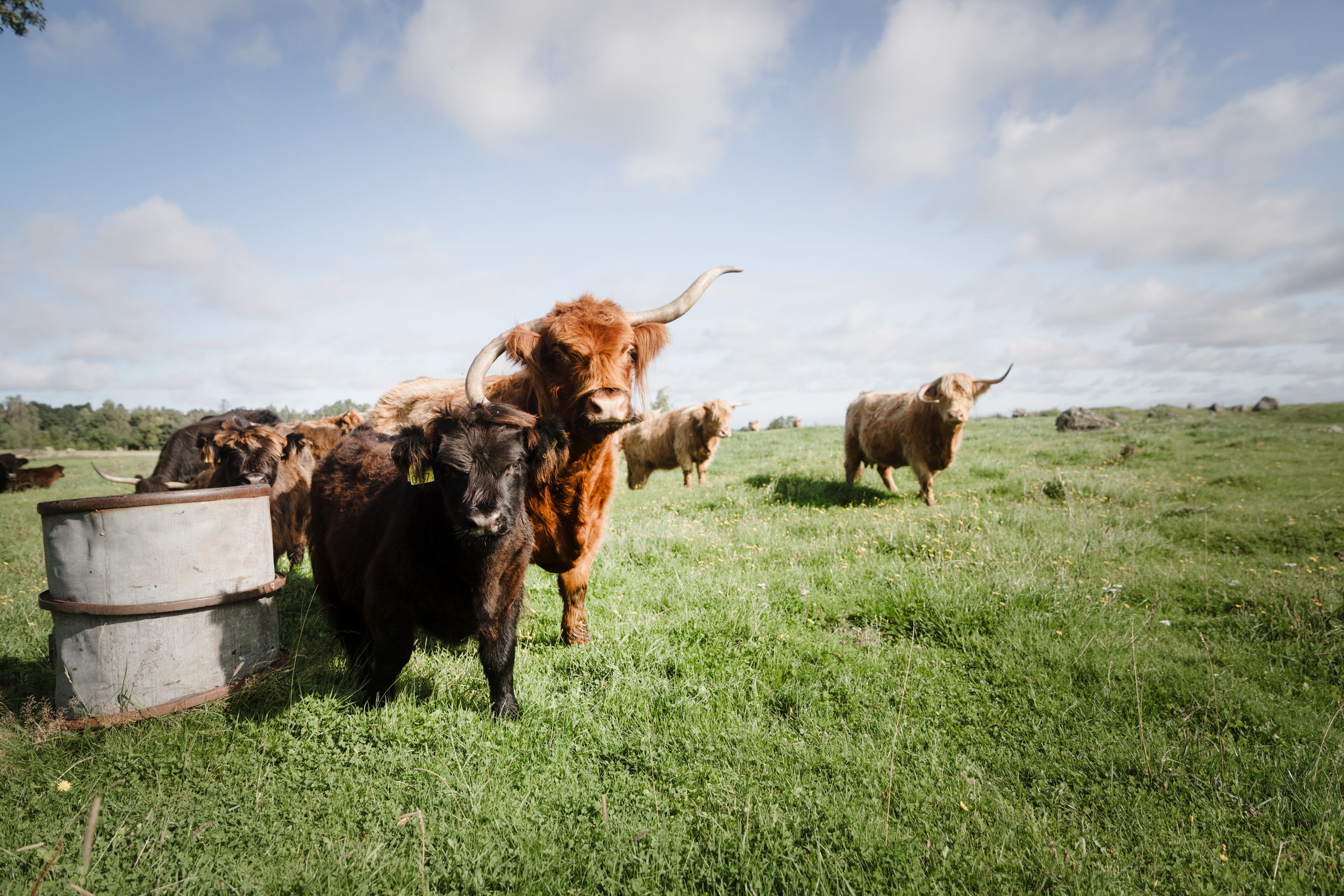 Marcusgården Gårdsbutik