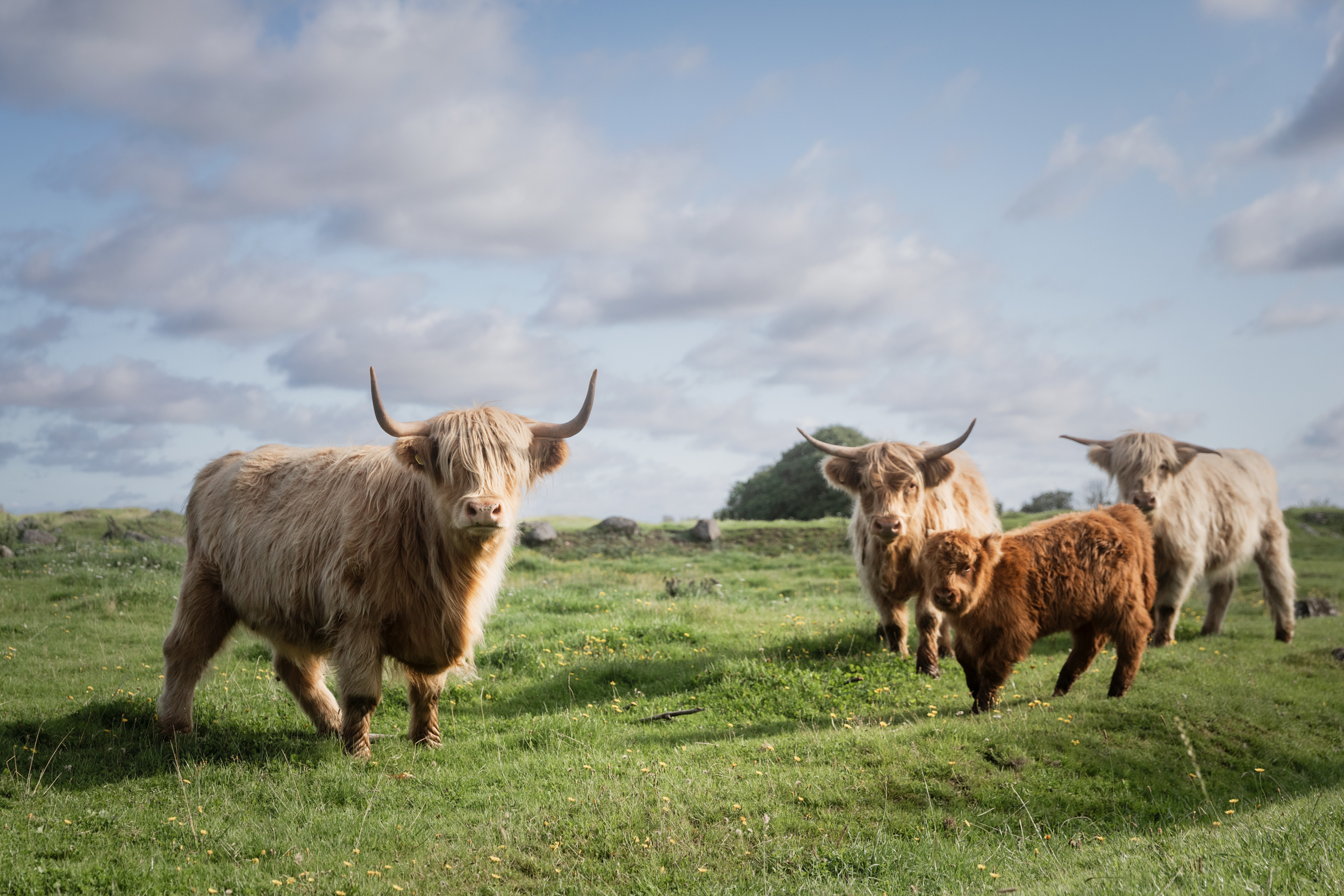 Marcusgården Gårdsbutik