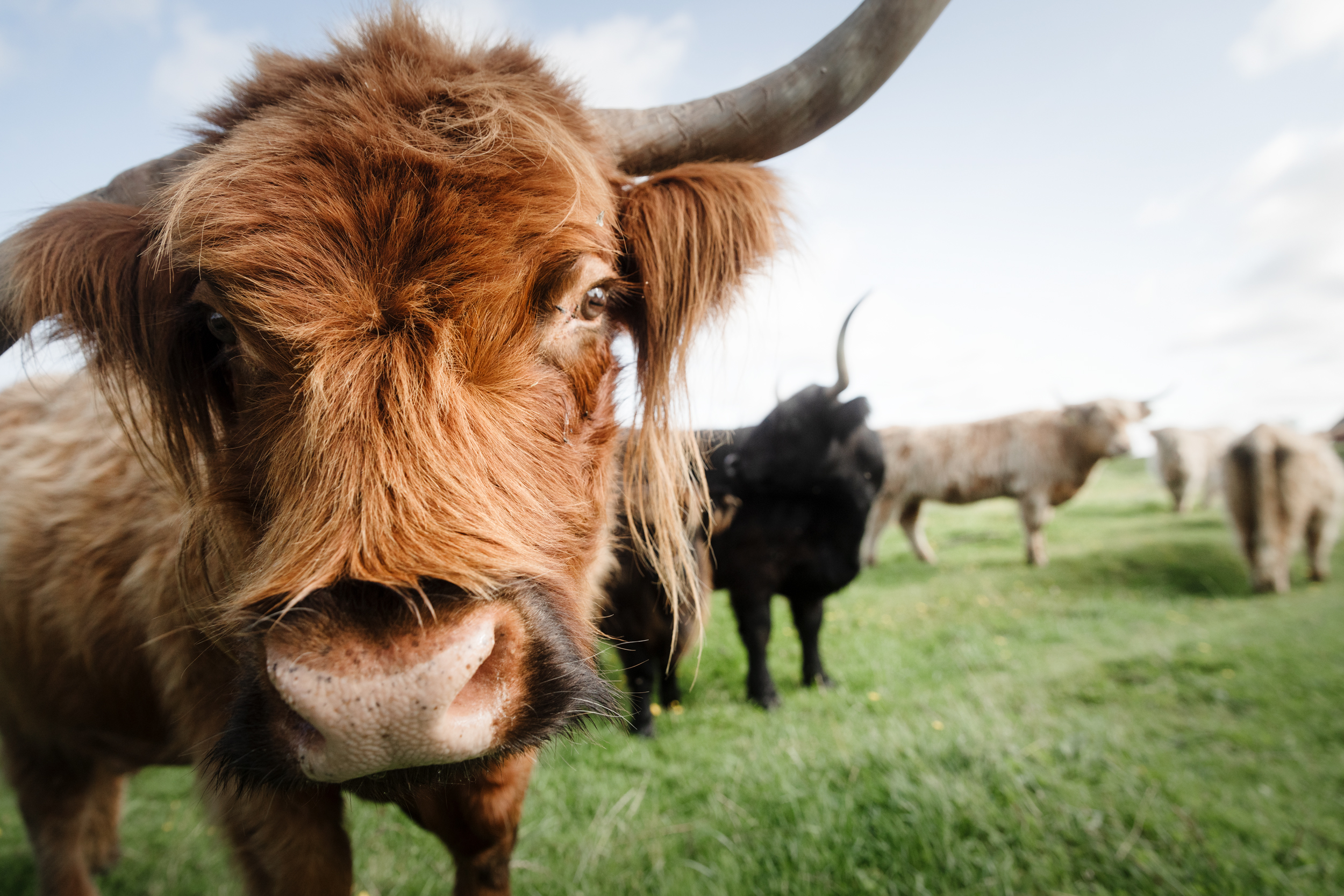 Marcusgården Gårdsbutik