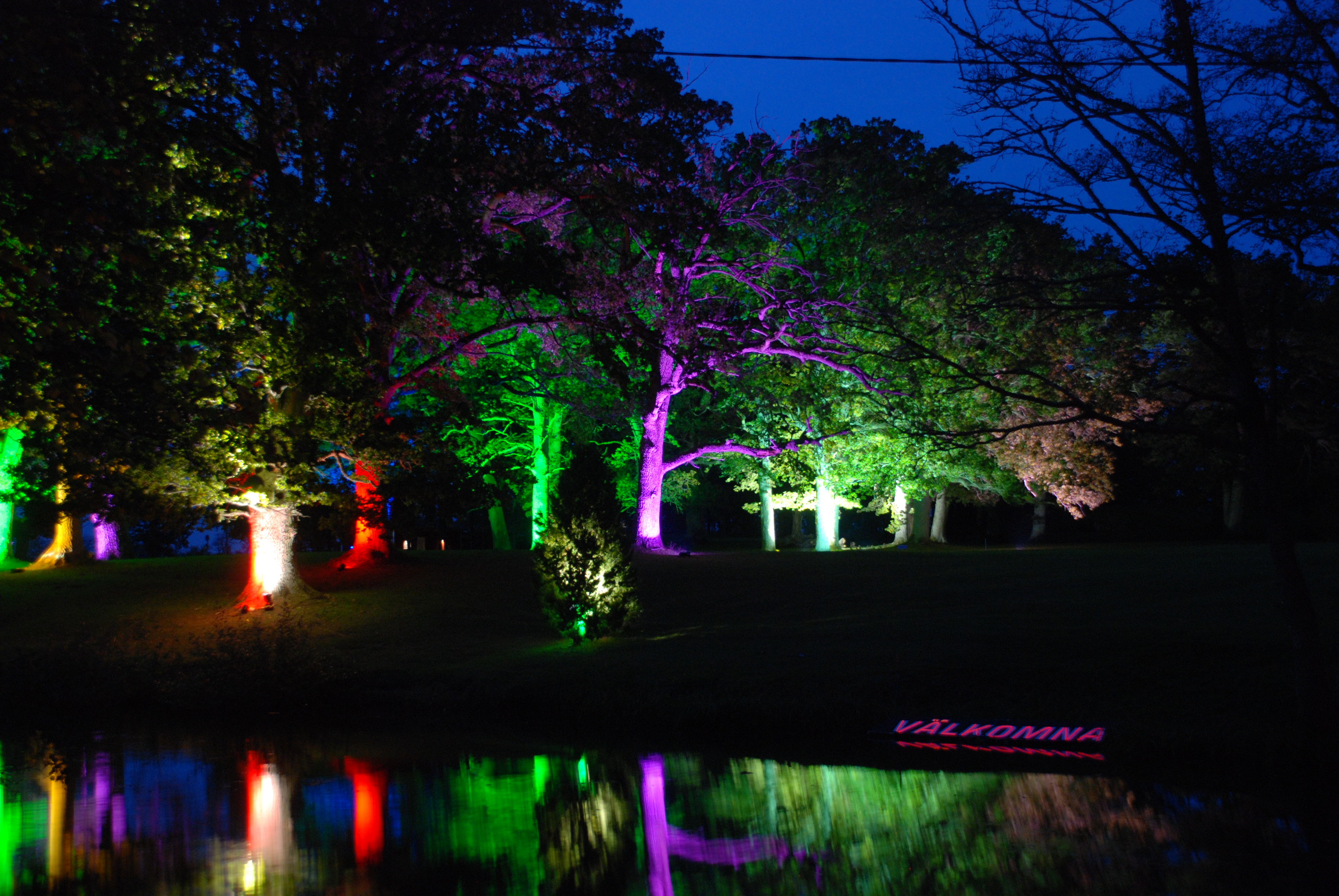 Ljus på träd i Nossan område under Nossan ljusfestival