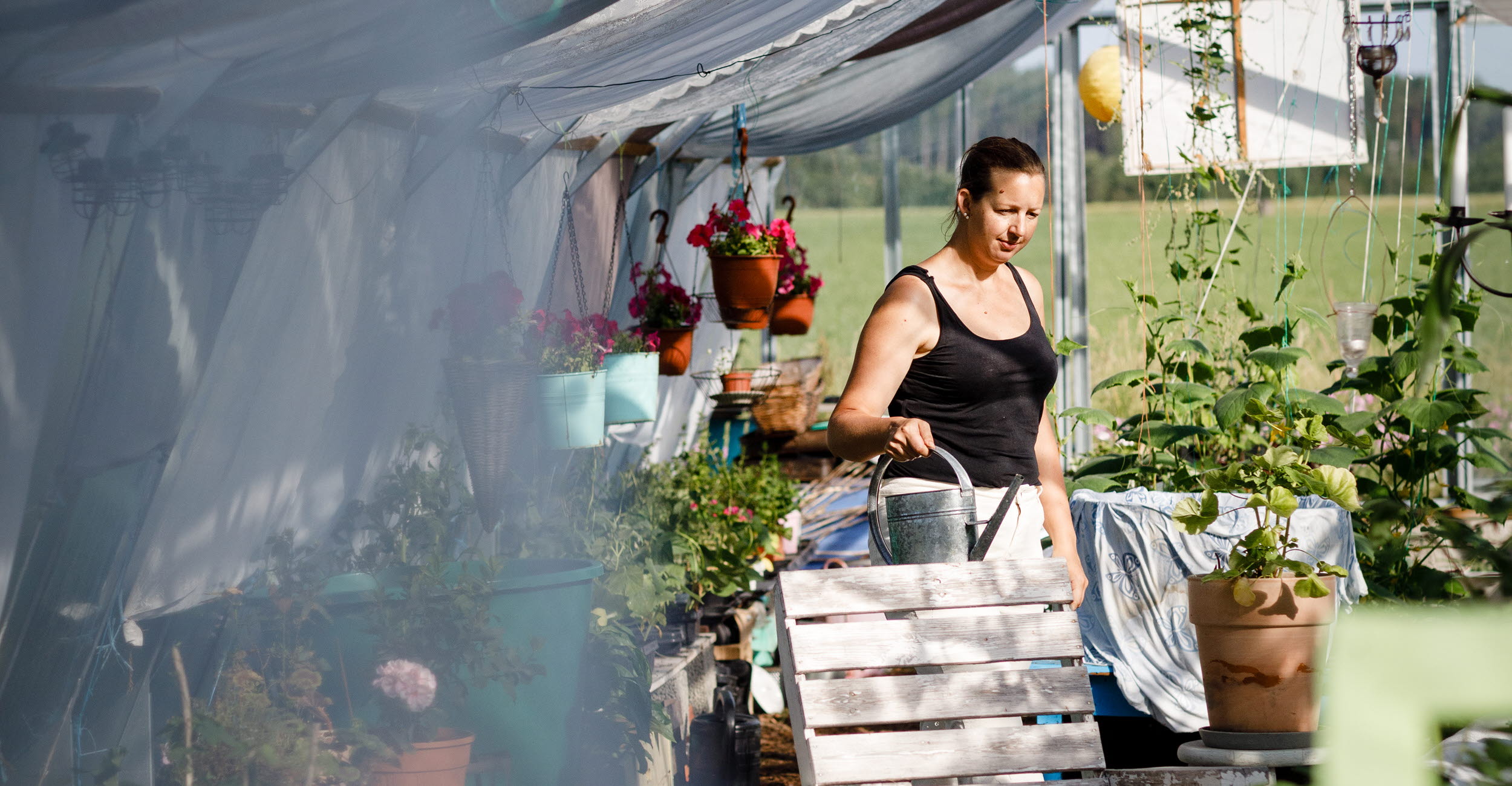 kvinna vattnar i växthus